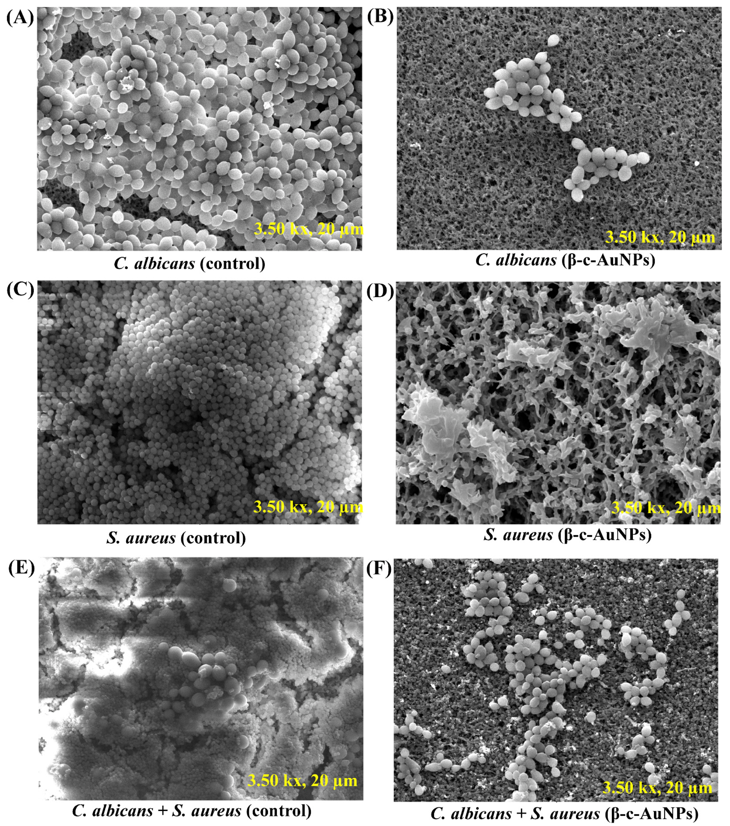 Antibiotics 12 00726 g007 Antibiotics 12 00726 g007