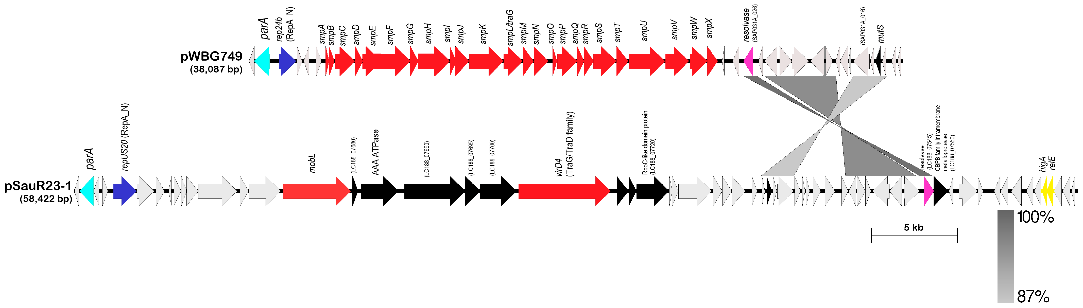 Antibiotics 12 00733 g005 Antibiotics 12 00733 g005