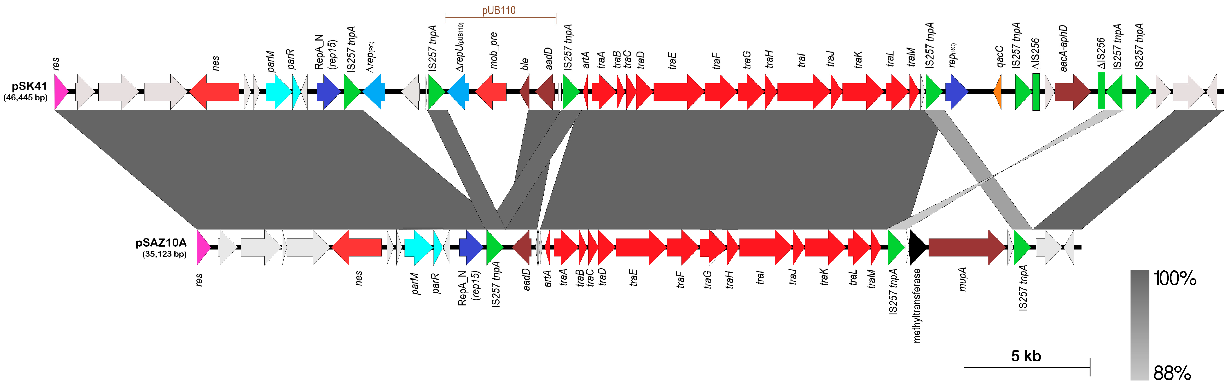 Antibiotics 12 00733 g006 Antibiotics 12 00733 g006