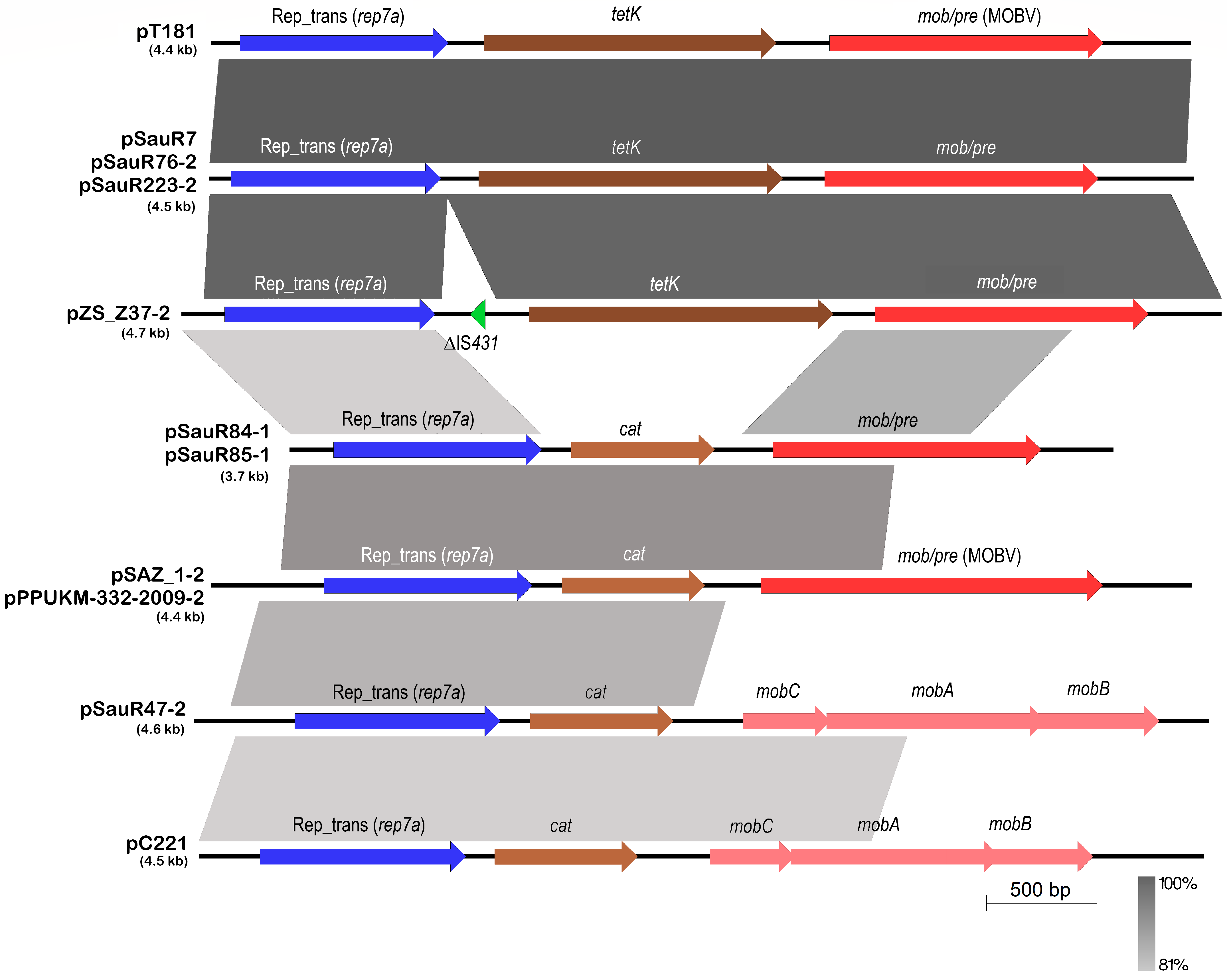 Antibiotics 12 00733 g010 Antibiotics 12 00733 g010