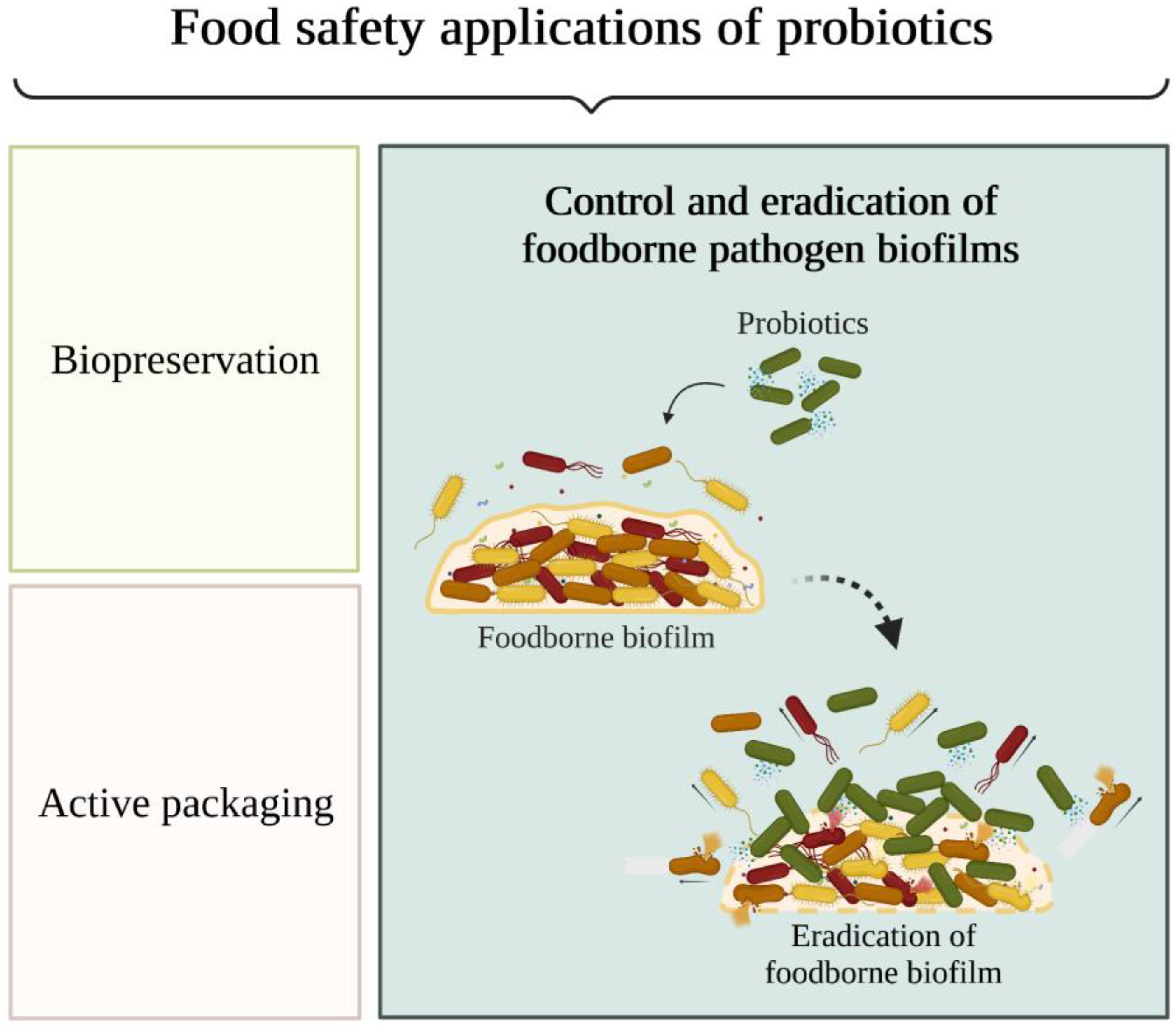 Antibiotics 12 00754 g001
