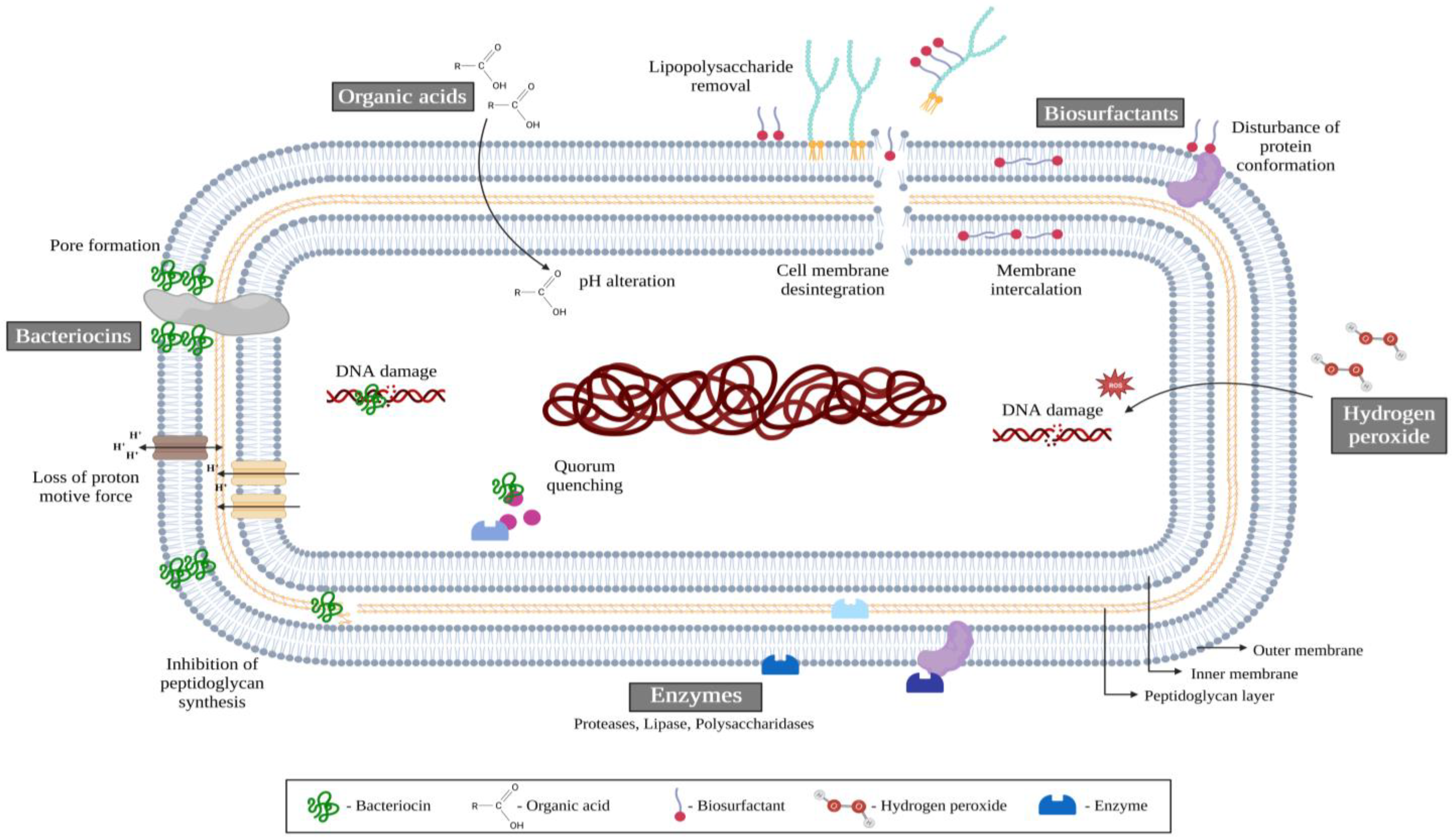 Antibiotics 12 00754 g003