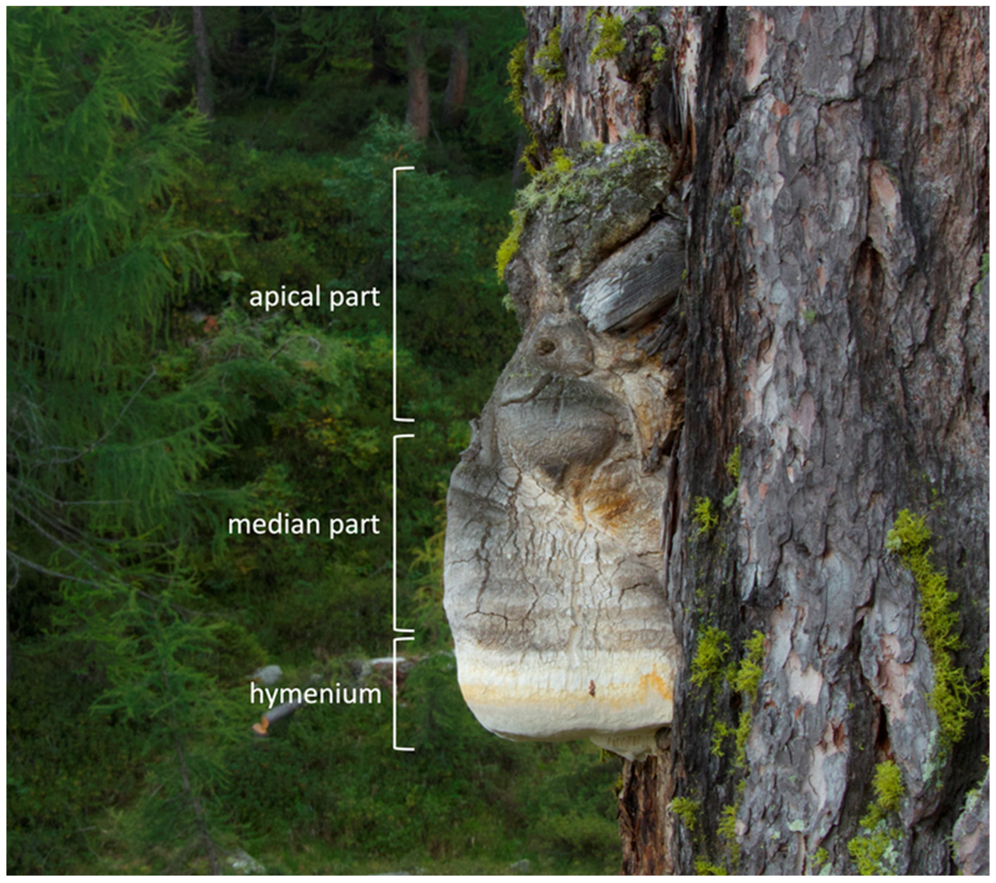 Antibiotics 12 00766 g004 Antibiotics 12 00766 g004