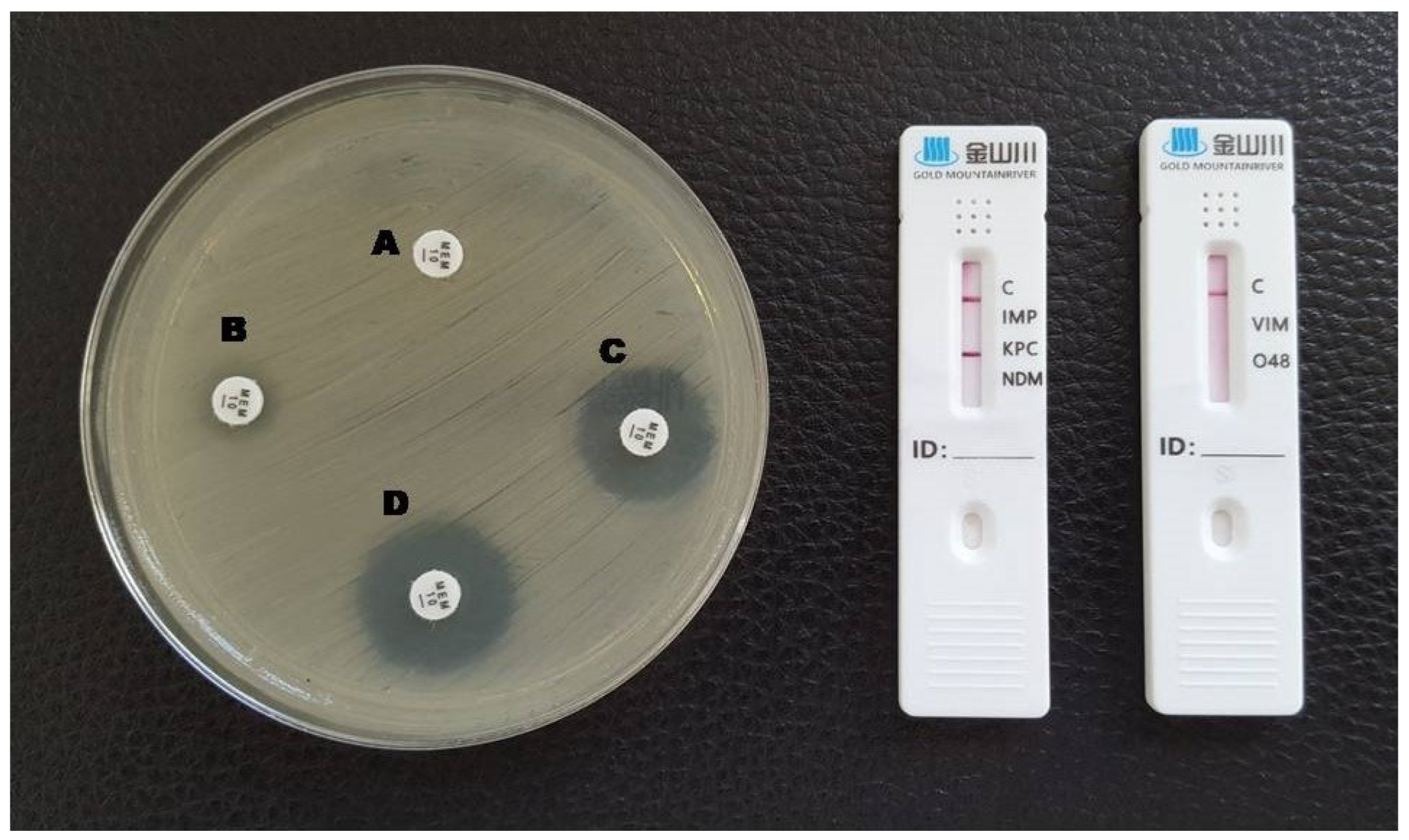 Antibiotics 12 00771 g001 Antibiotics 12 00771 g001