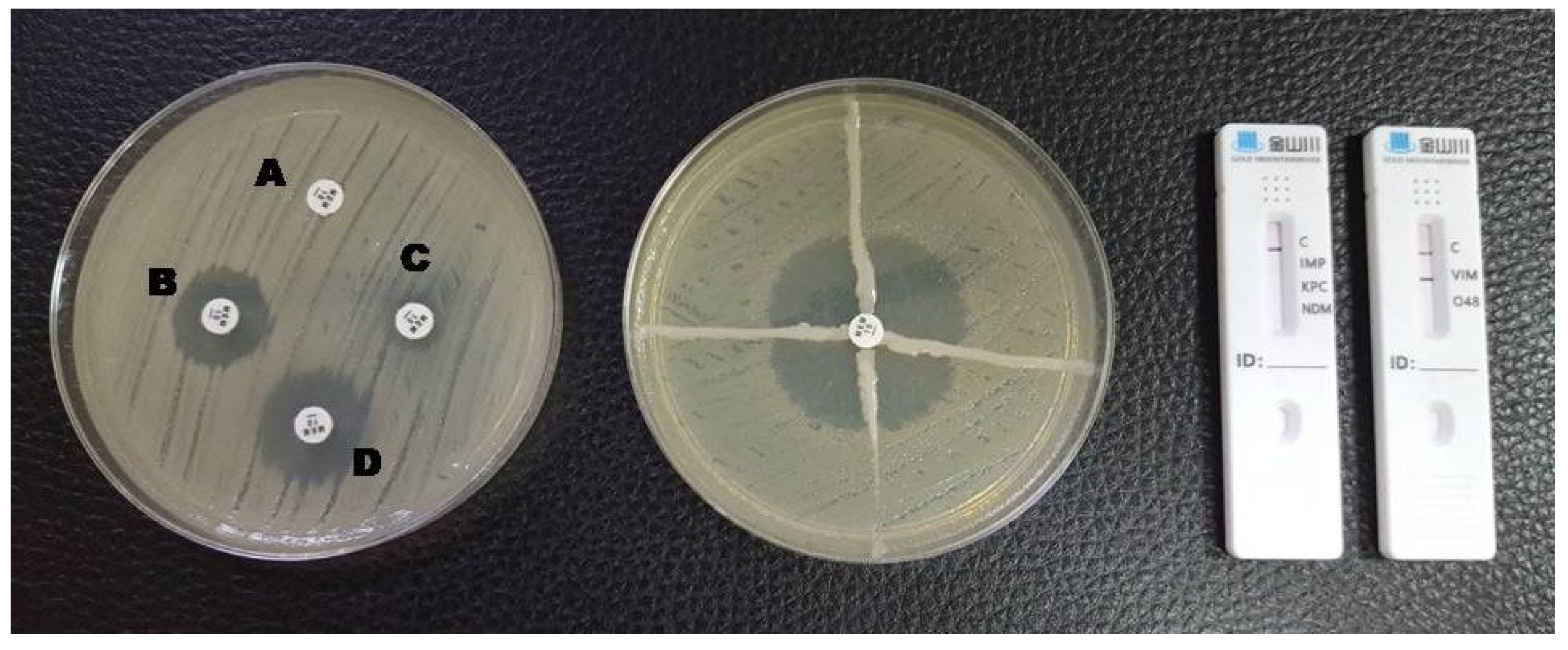 Antibiotics 12 00771 g002 Antibiotics 12 00771 g002