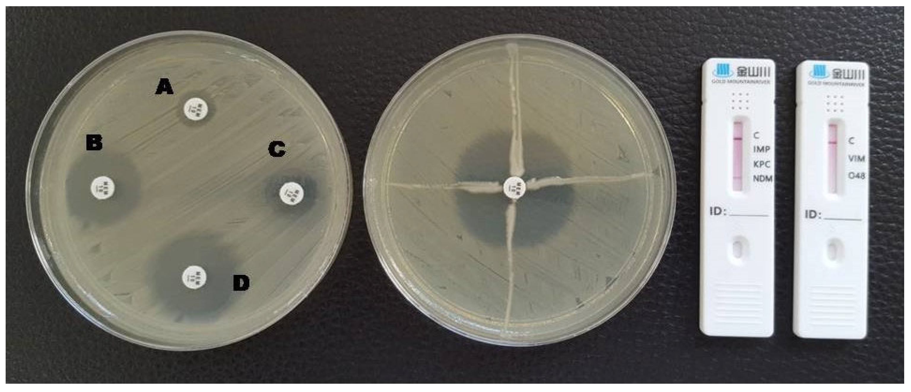 Antibiotics 12 00771 g003 Antibiotics 12 00771 g003