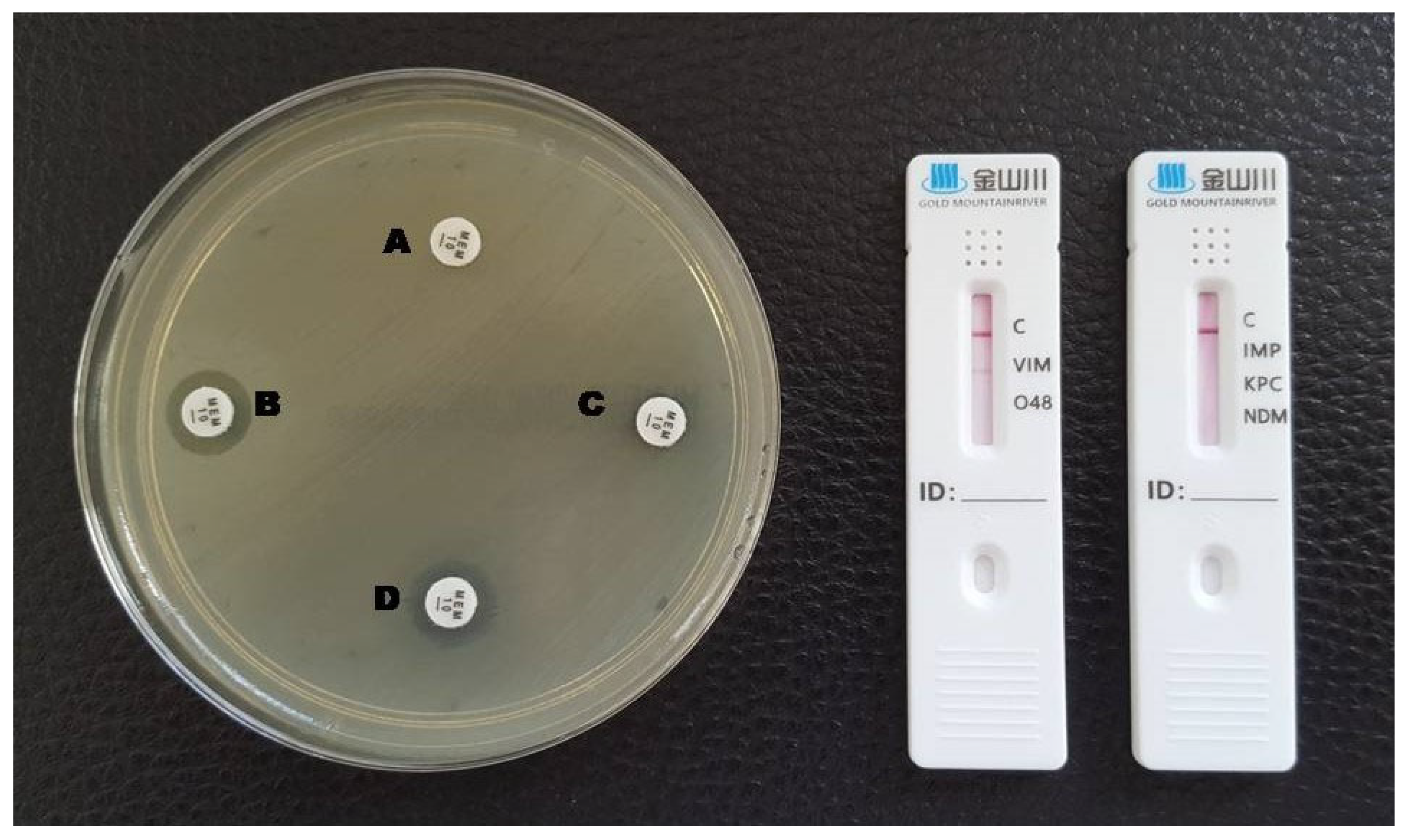Antibiotics 12 00771 g005 Antibiotics 12 00771 g005