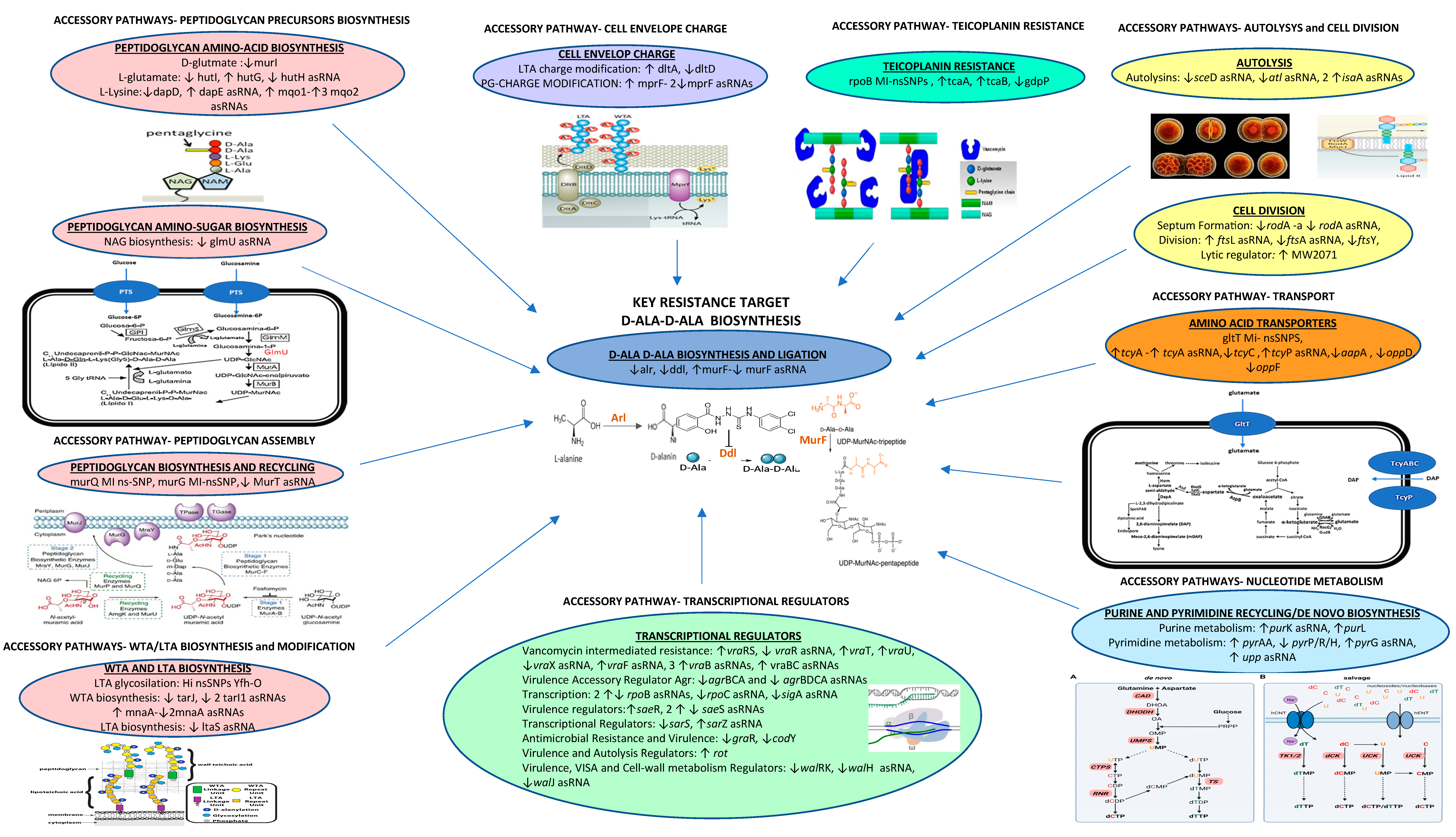 Antibiotics 12 00783 g001 Antibiotics 12 00783 g001