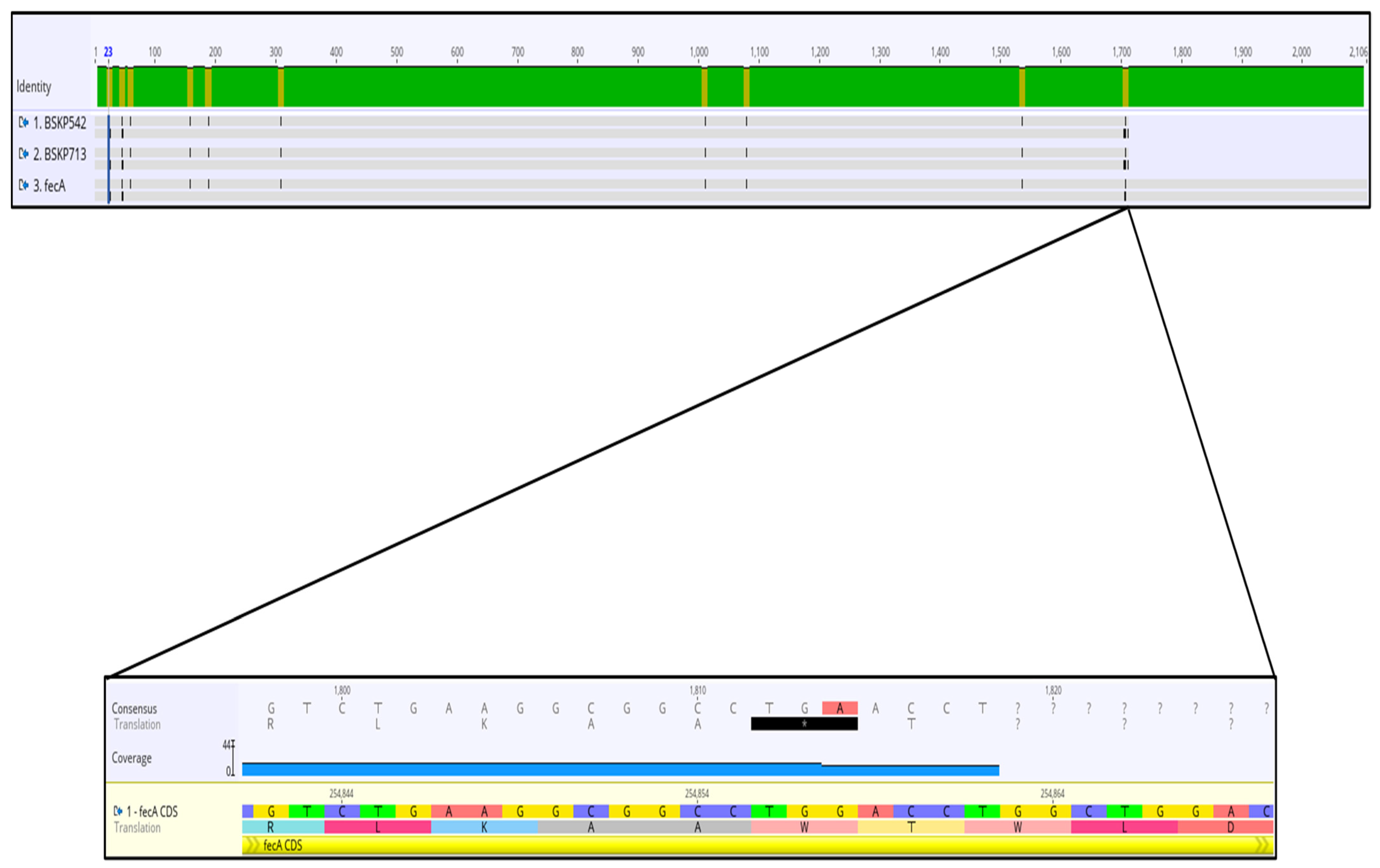 Antibiotics 12 00785 g002 Antibiotics 12 00785 g002