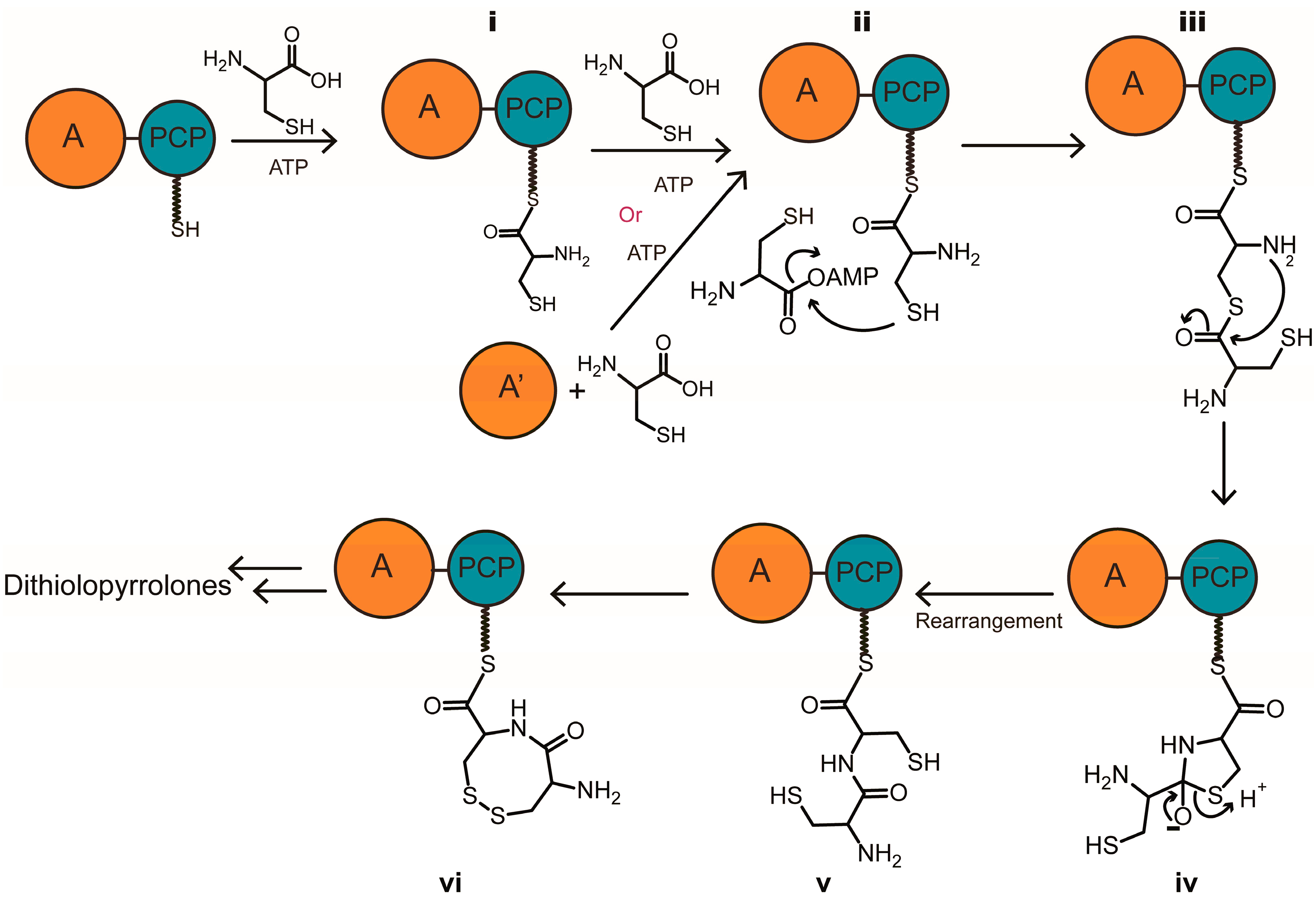 Antibiotics 12 00787 g003 Antibiotics 12 00787 g003