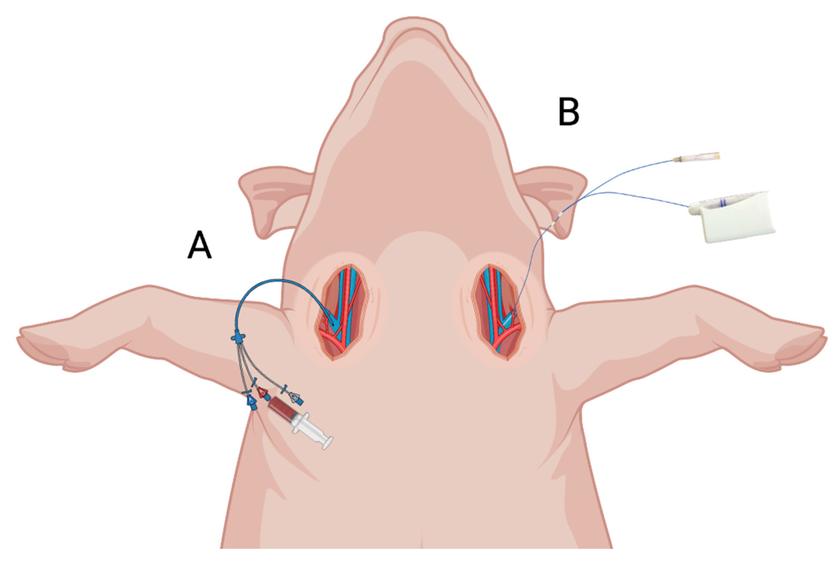 Antibiotics 12 00791 g003 Antibiotics 12 00791 g003