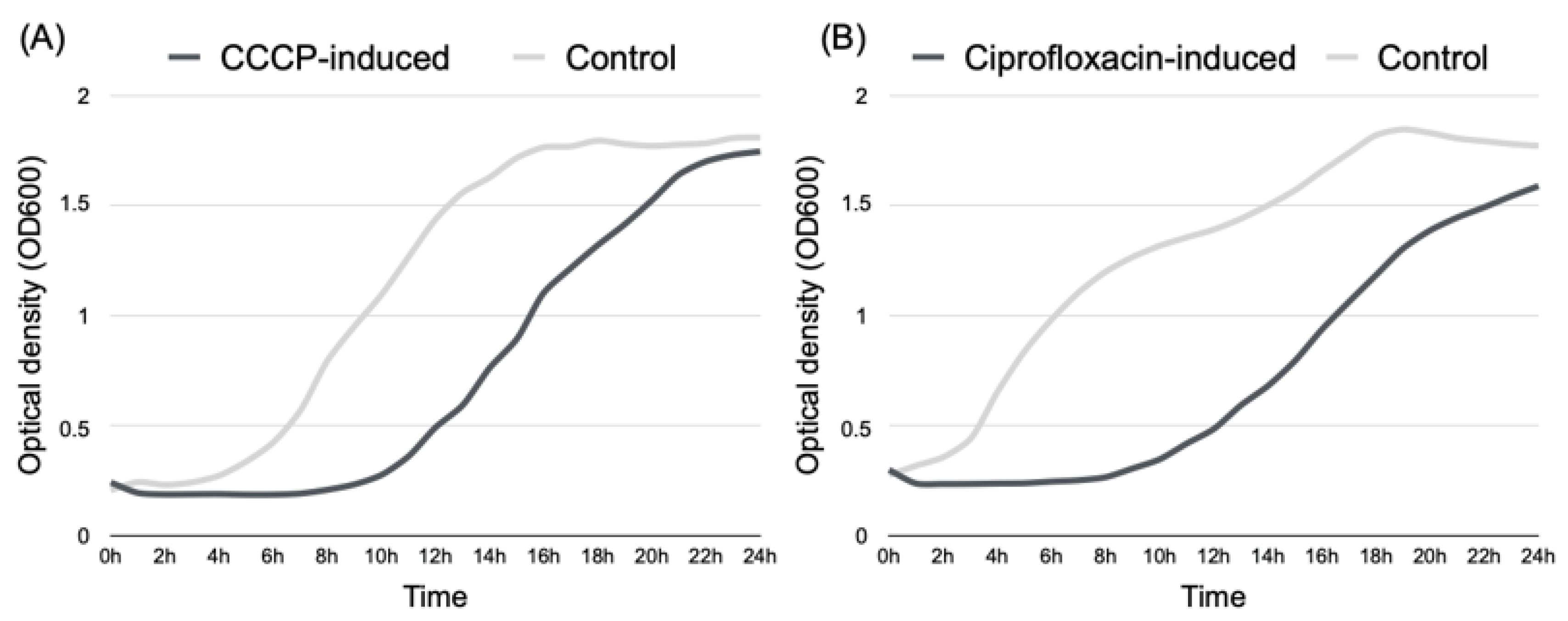 Antibiotics 12 00794 g001 Antibiotics 12 00794 g001