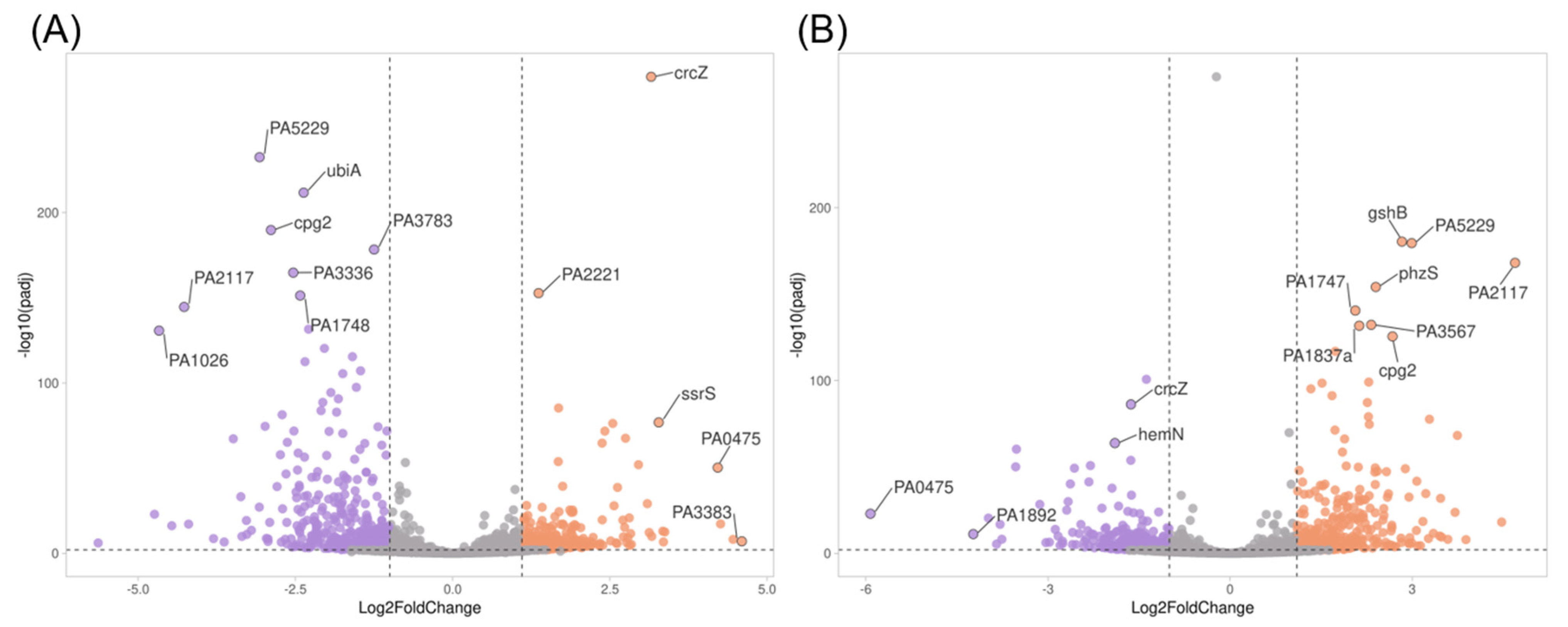 Antibiotics 12 00794 g003 Antibiotics 12 00794 g003