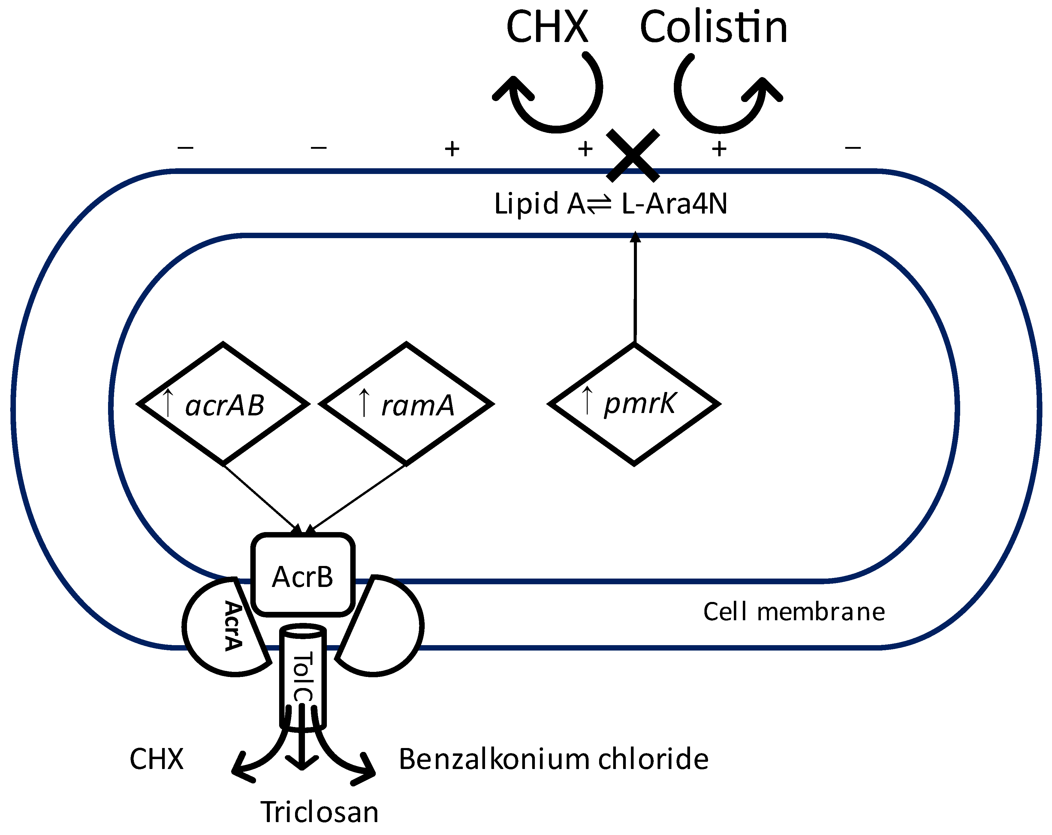Antibiotics 12 00798 g001 Antibiotics 12 00798 g001