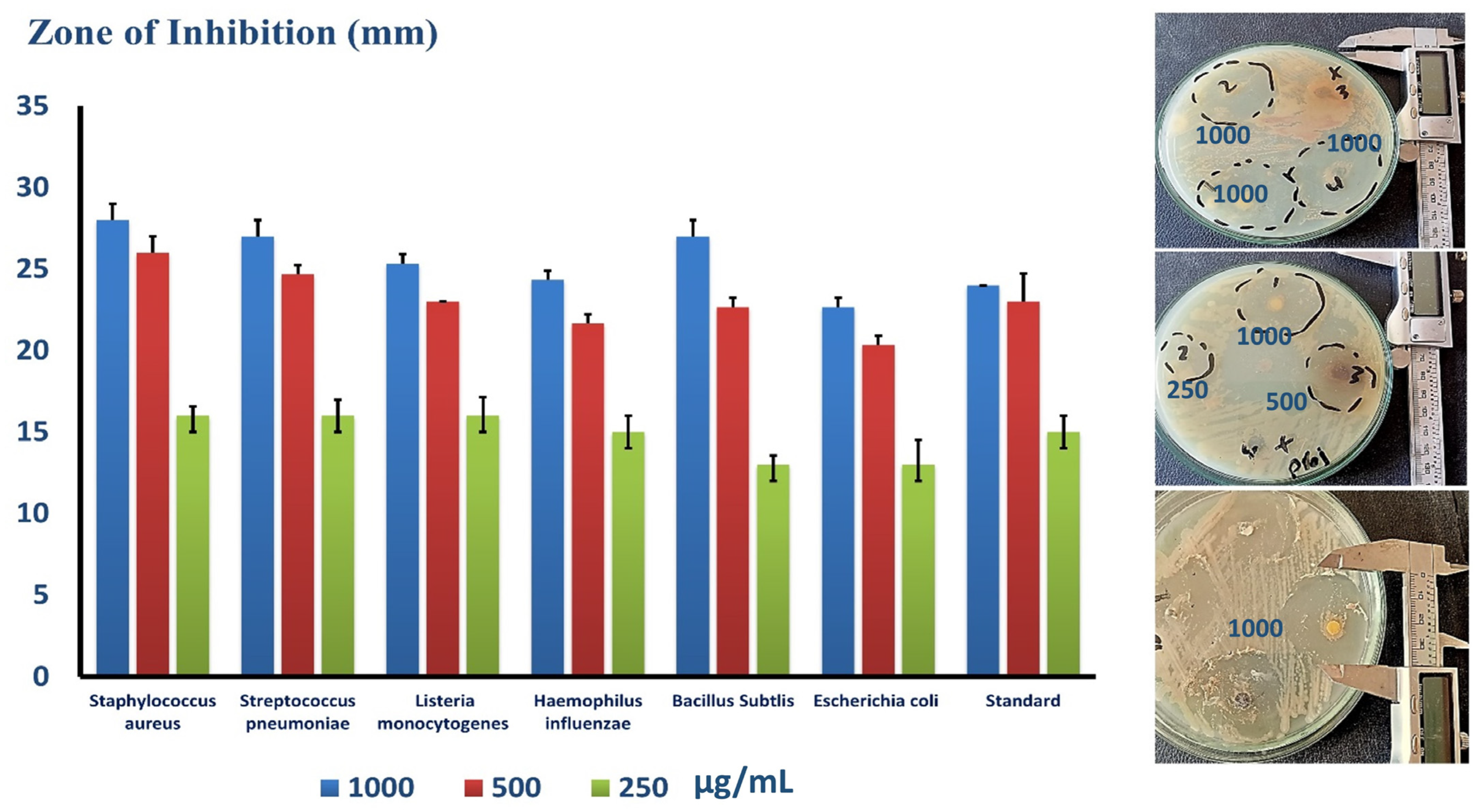 Antibiotics 12 00799 g004