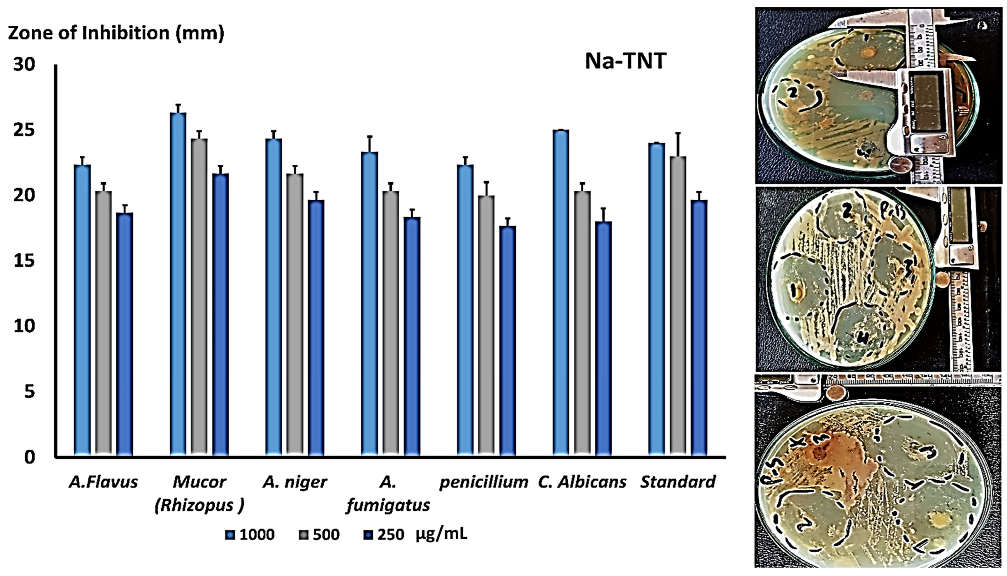 Antibiotics 12 00799 g007