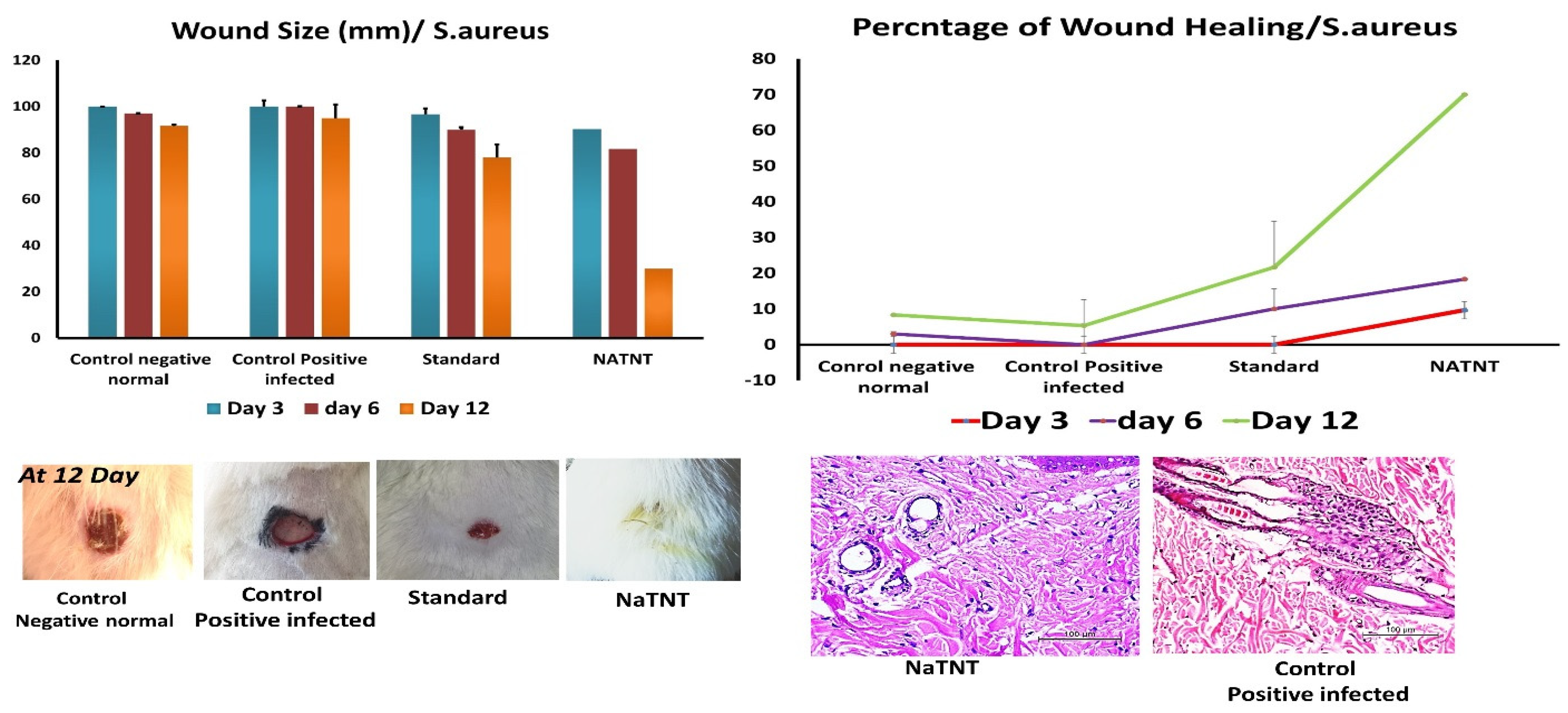 Antibiotics 12 00799 g009