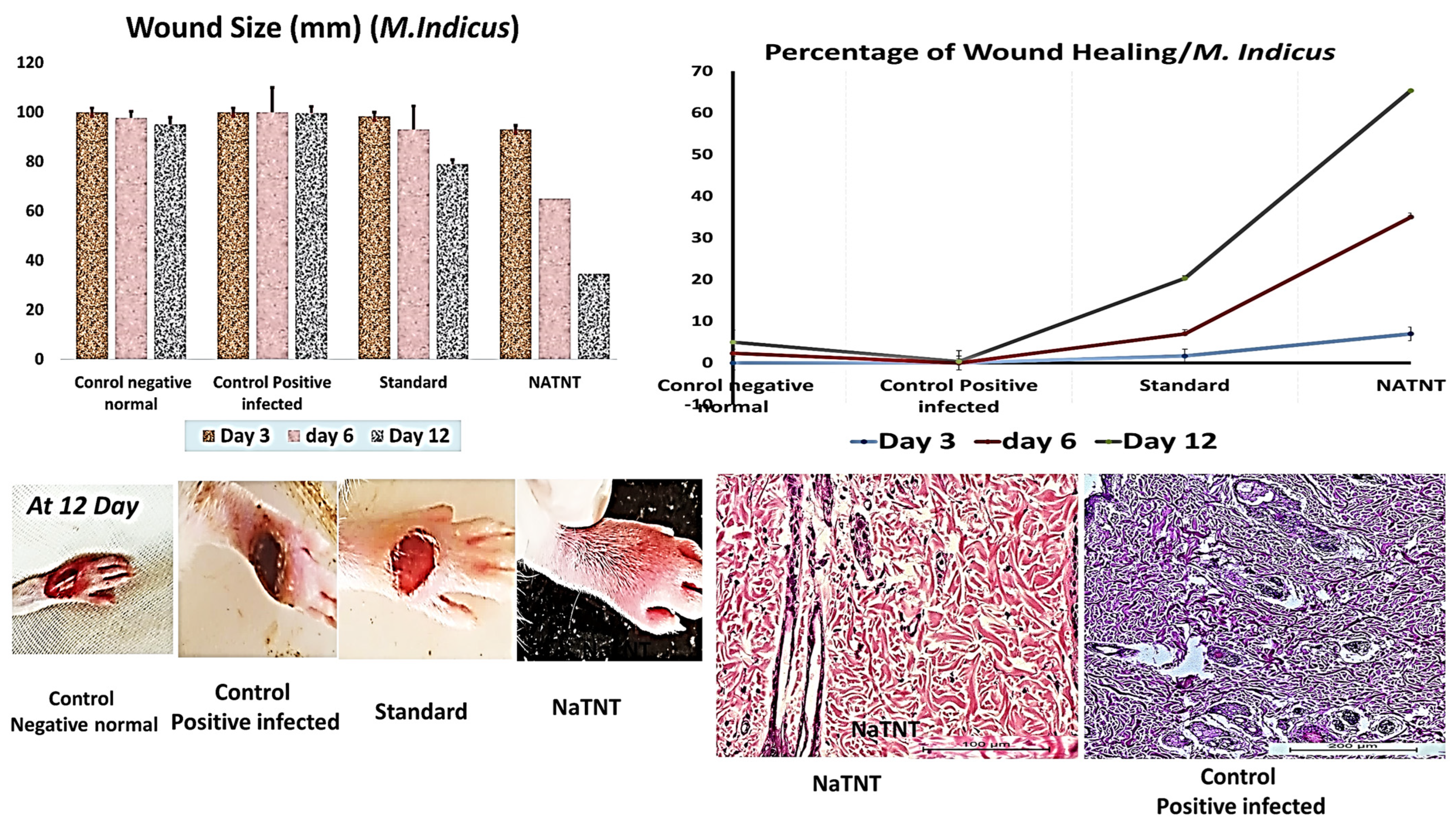 Antibiotics 12 00799 g010