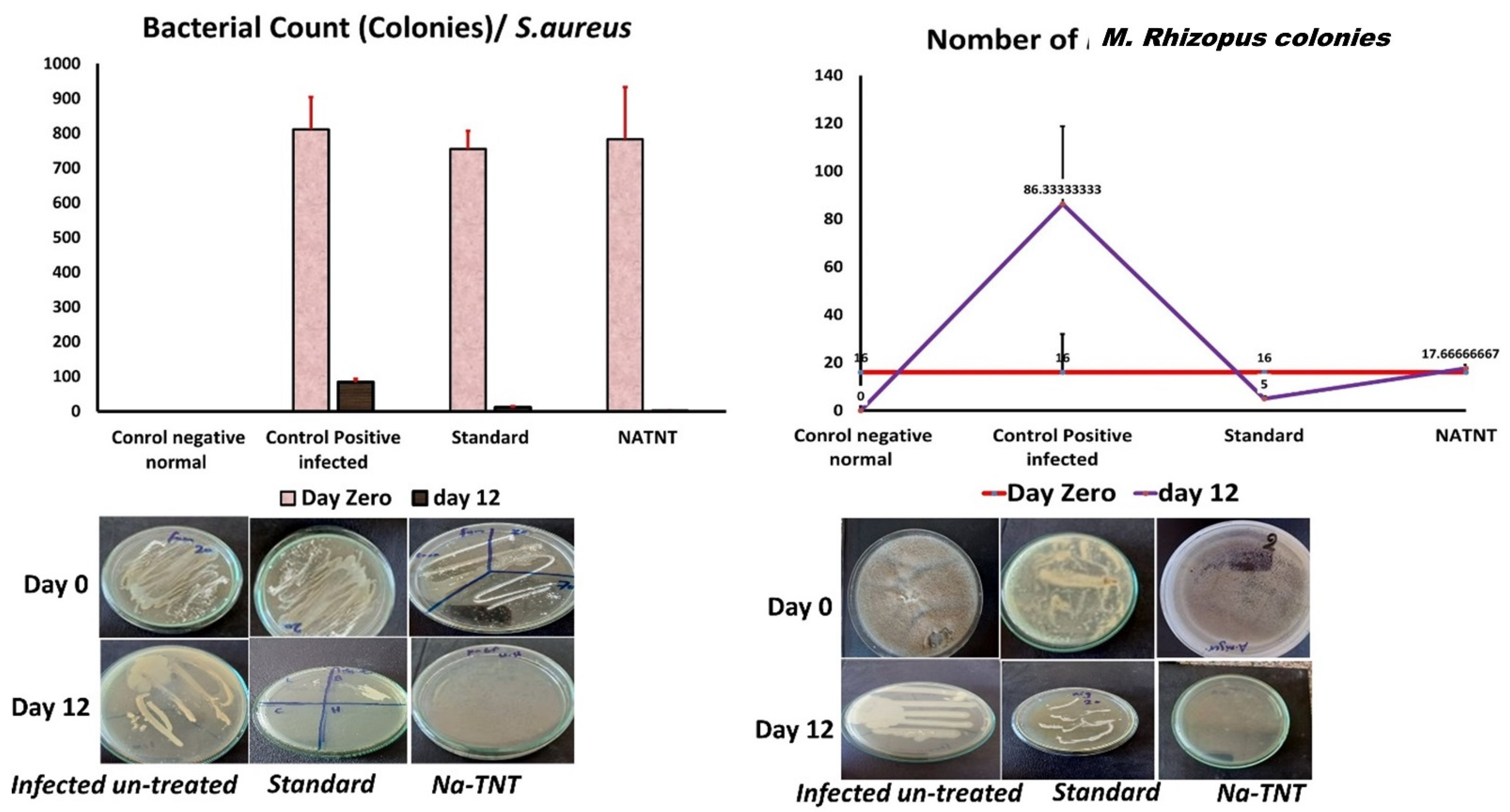 Antibiotics 12 00799 g011