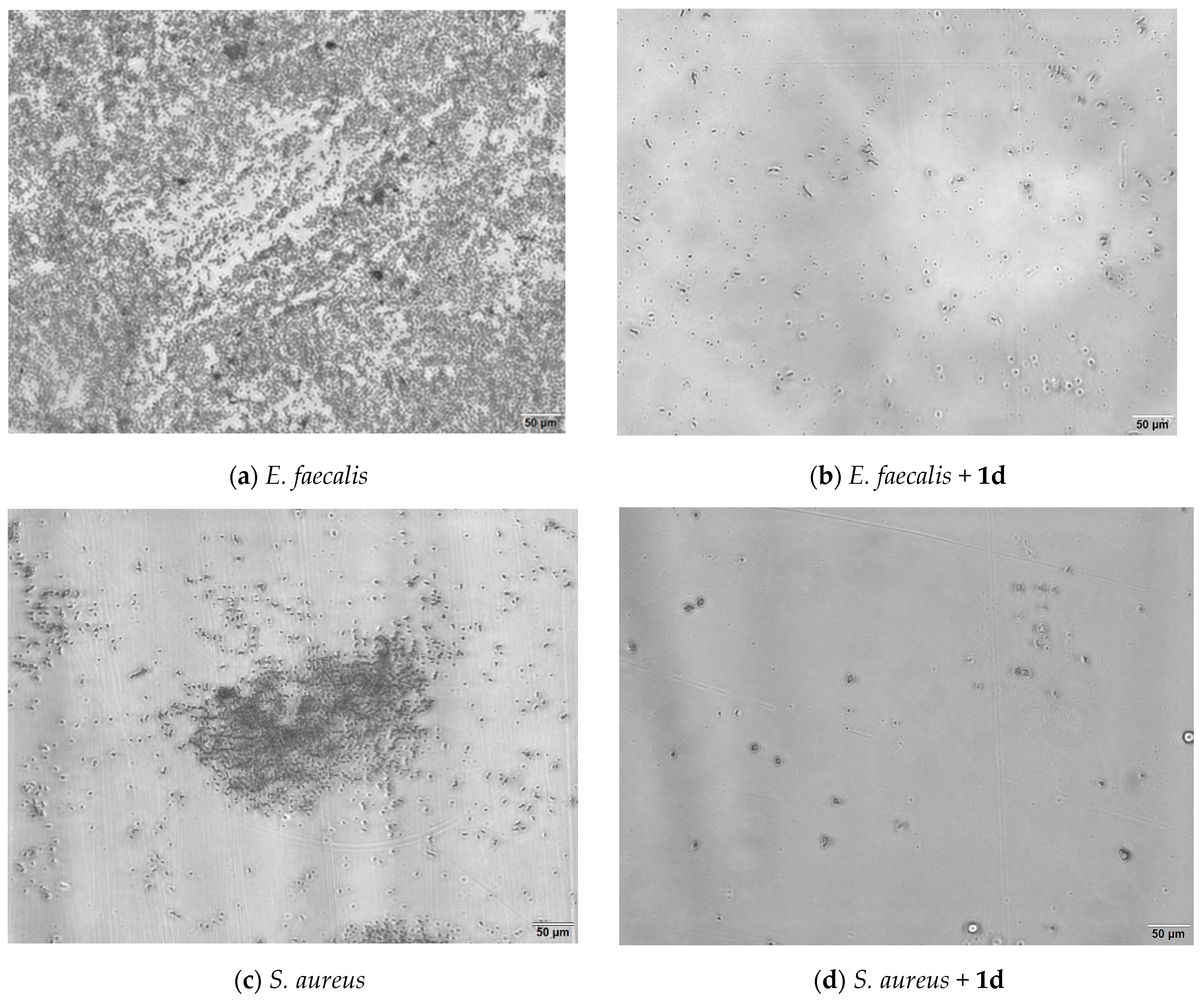 Antibiotics 12 00807 g001a Antibiotics 12 00807 g001a