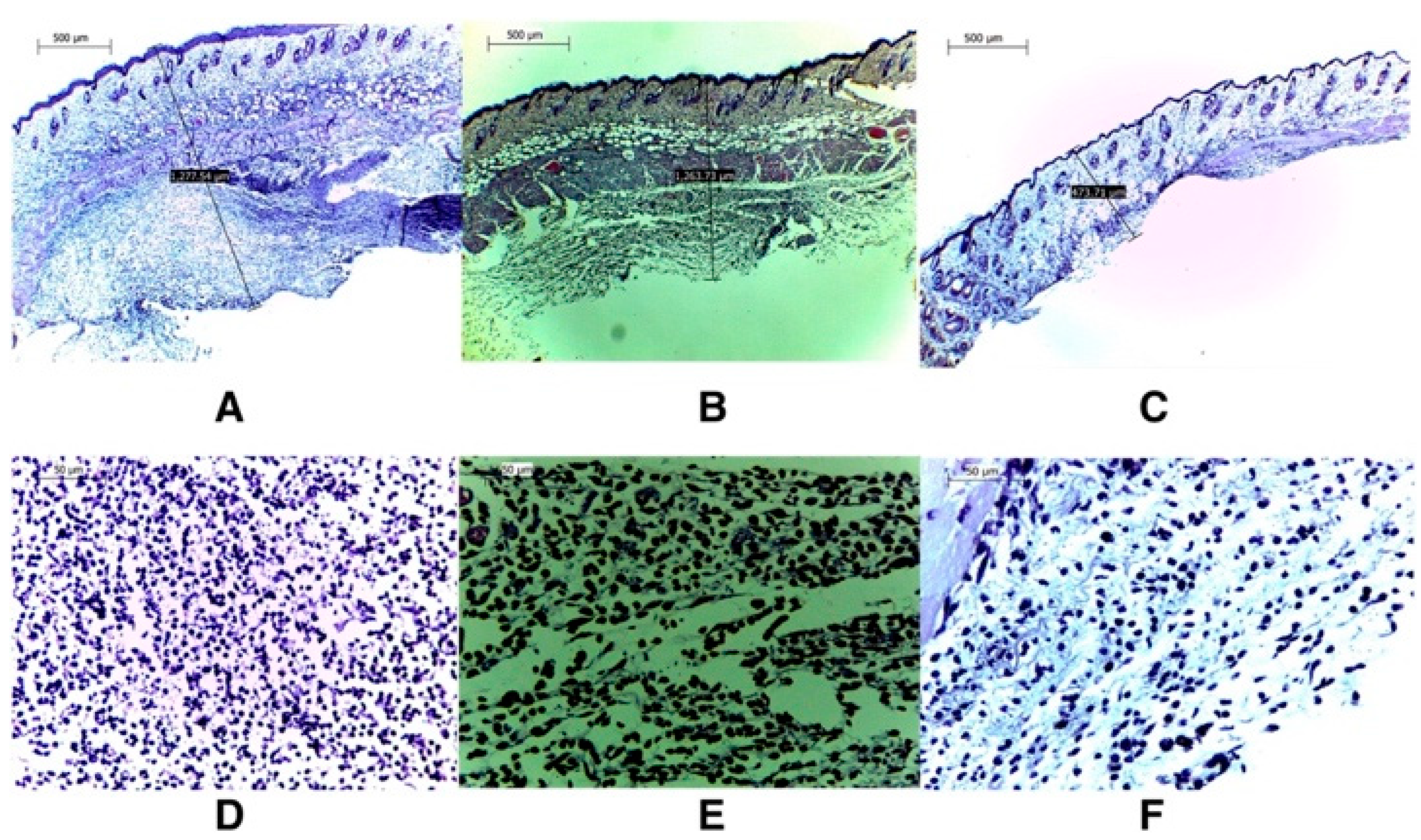 Antibiotics 12 00822 g002 Antibiotics 12 00822 g002