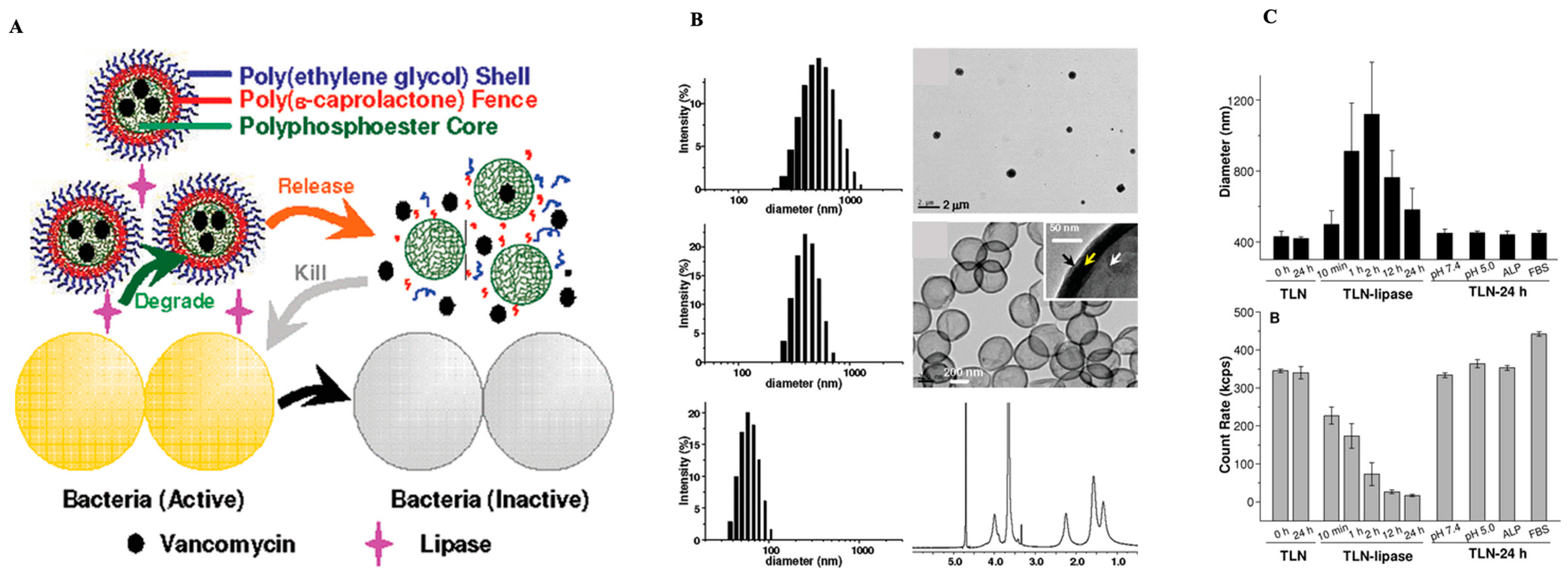 Antibiotics 12 00822 g004 Antibiotics 12 00822 g004
