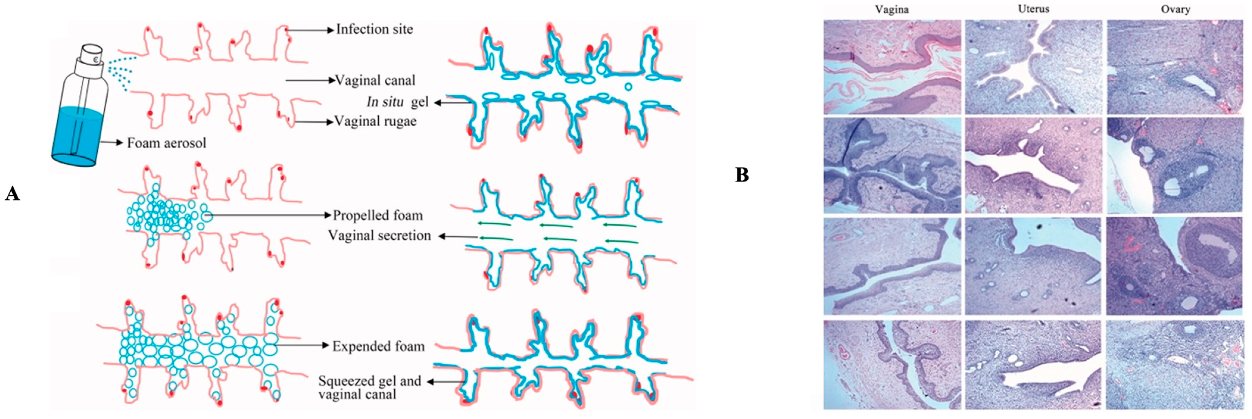 Antibiotics 12 00822 g005 Antibiotics 12 00822 g005
