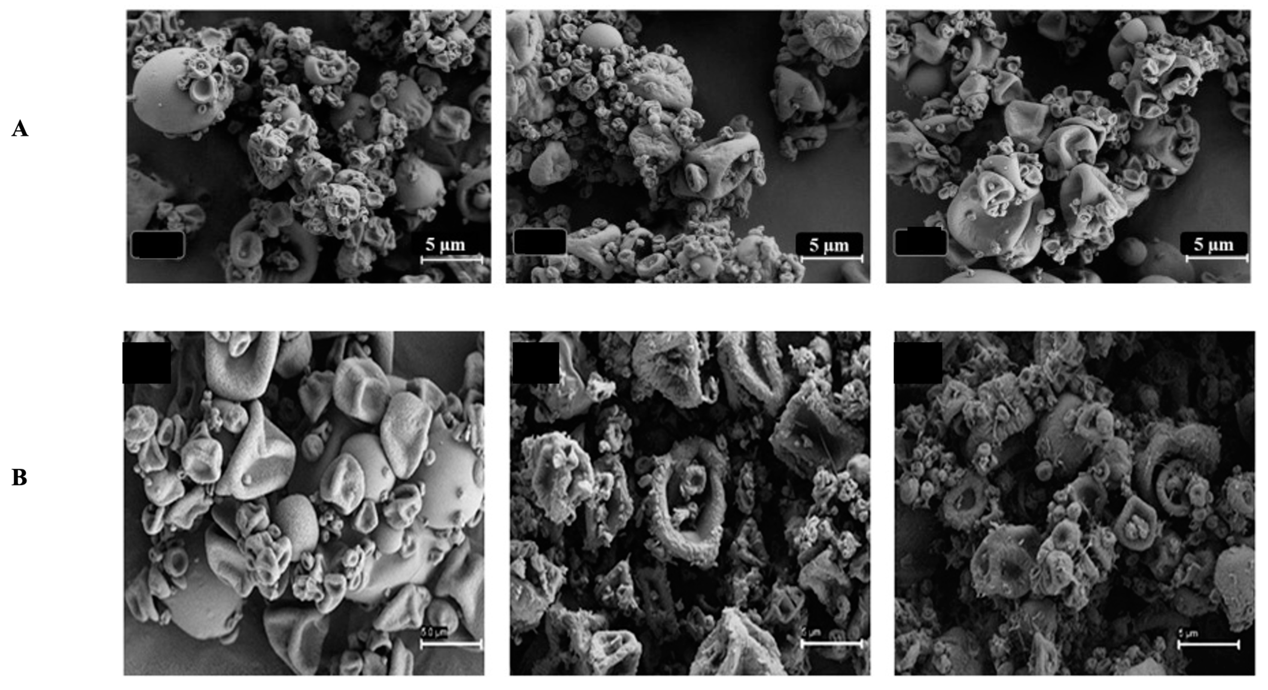 Antibiotics 12 00822 g006 Antibiotics 12 00822 g006