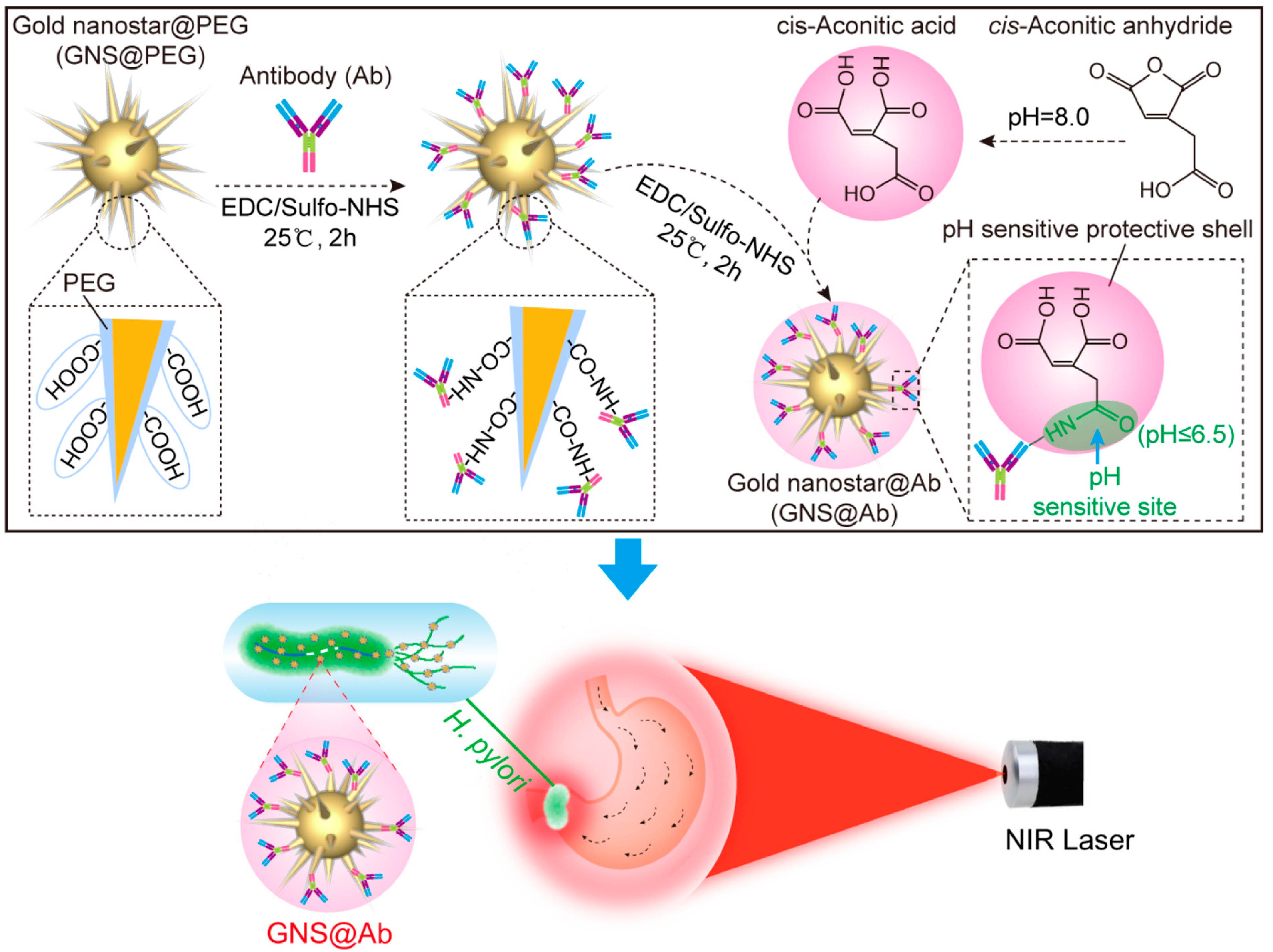 Antibiotics 12 00822 g010 Antibiotics 12 00822 g010
