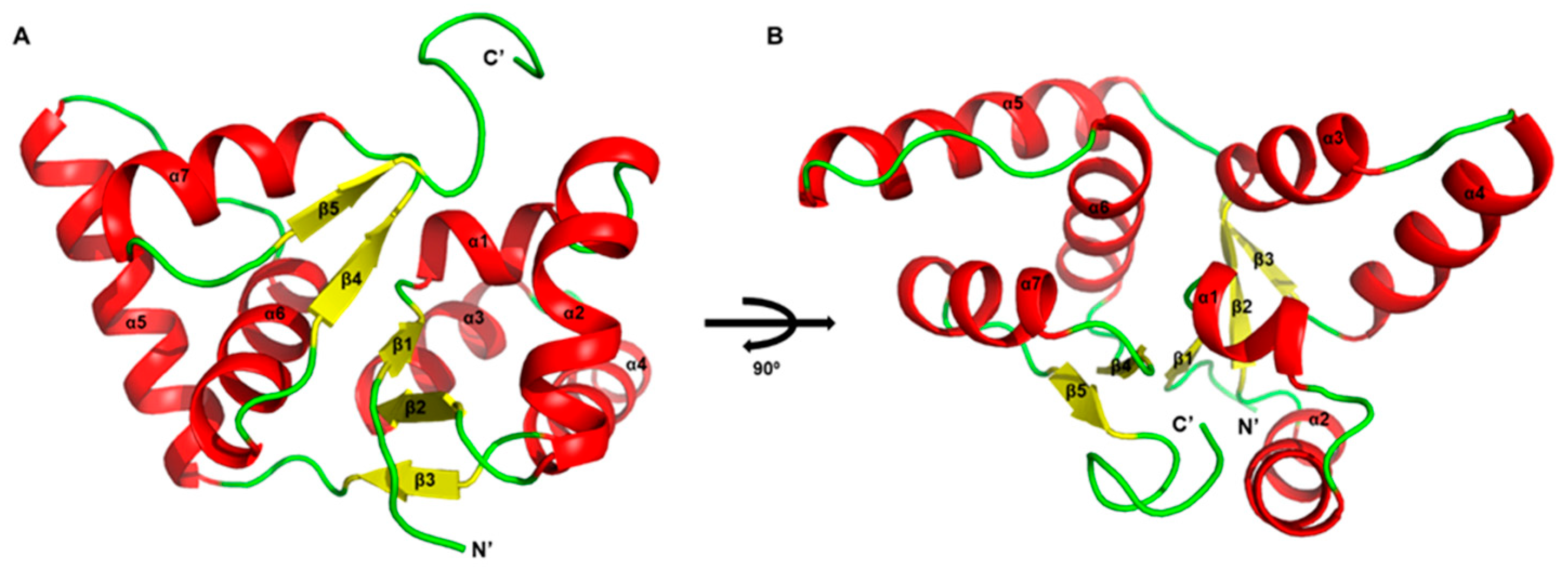 Mycobacterium tuberculosis Rv0229c Shows Ribonuclease