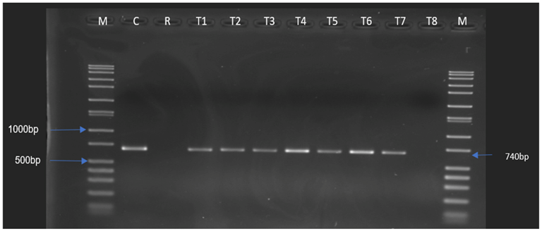 Antibiotics 12 00843 g002 Antibiotics 12 00843 g002
