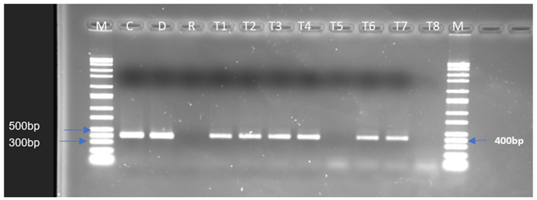 Antibiotics 12 00843 g003 Antibiotics 12 00843 g003
