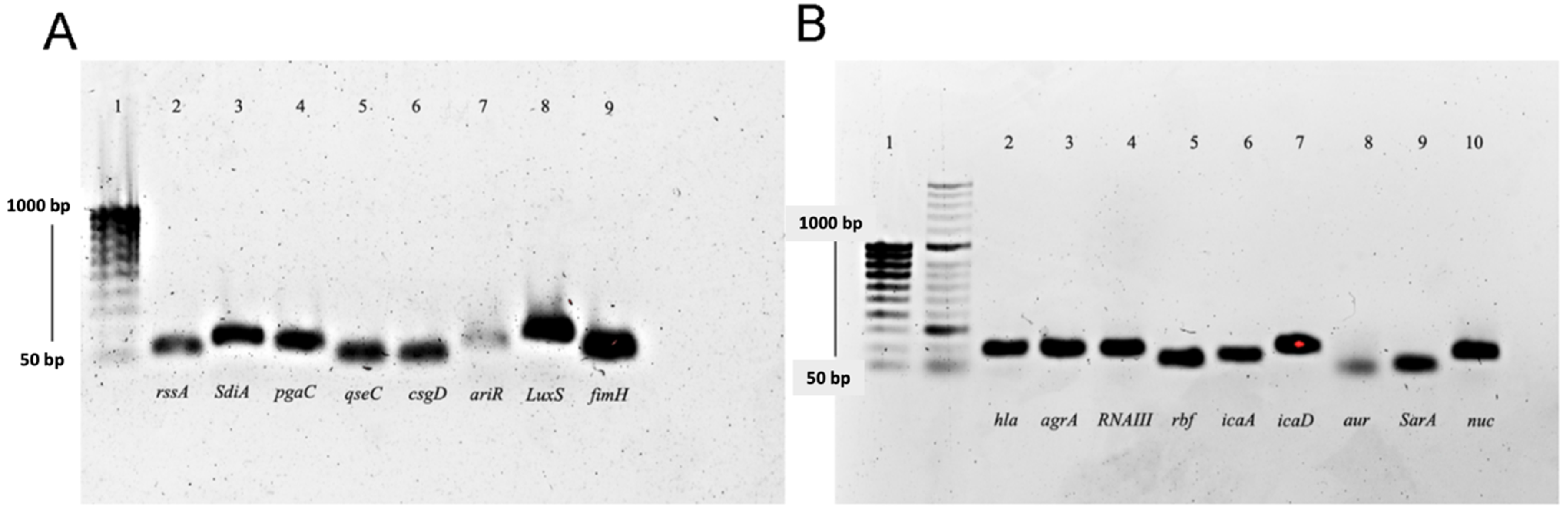 Antibiotics 12 00845 g003
