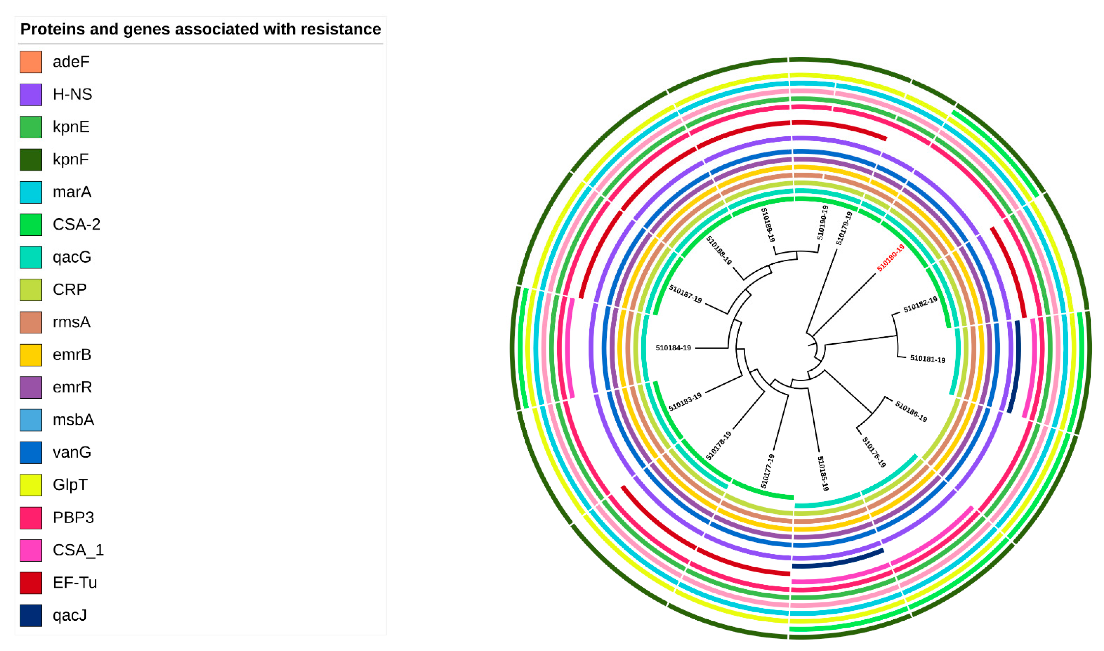 Antibiotics 12 00851 g002 Antibiotics 12 00851 g002