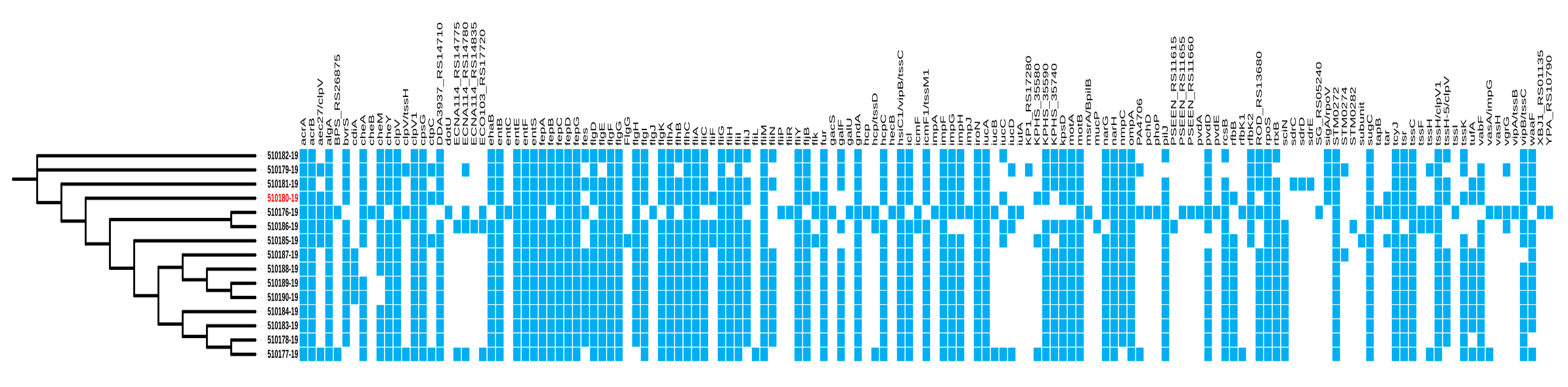 Antibiotics 12 00851 g003 Antibiotics 12 00851 g003