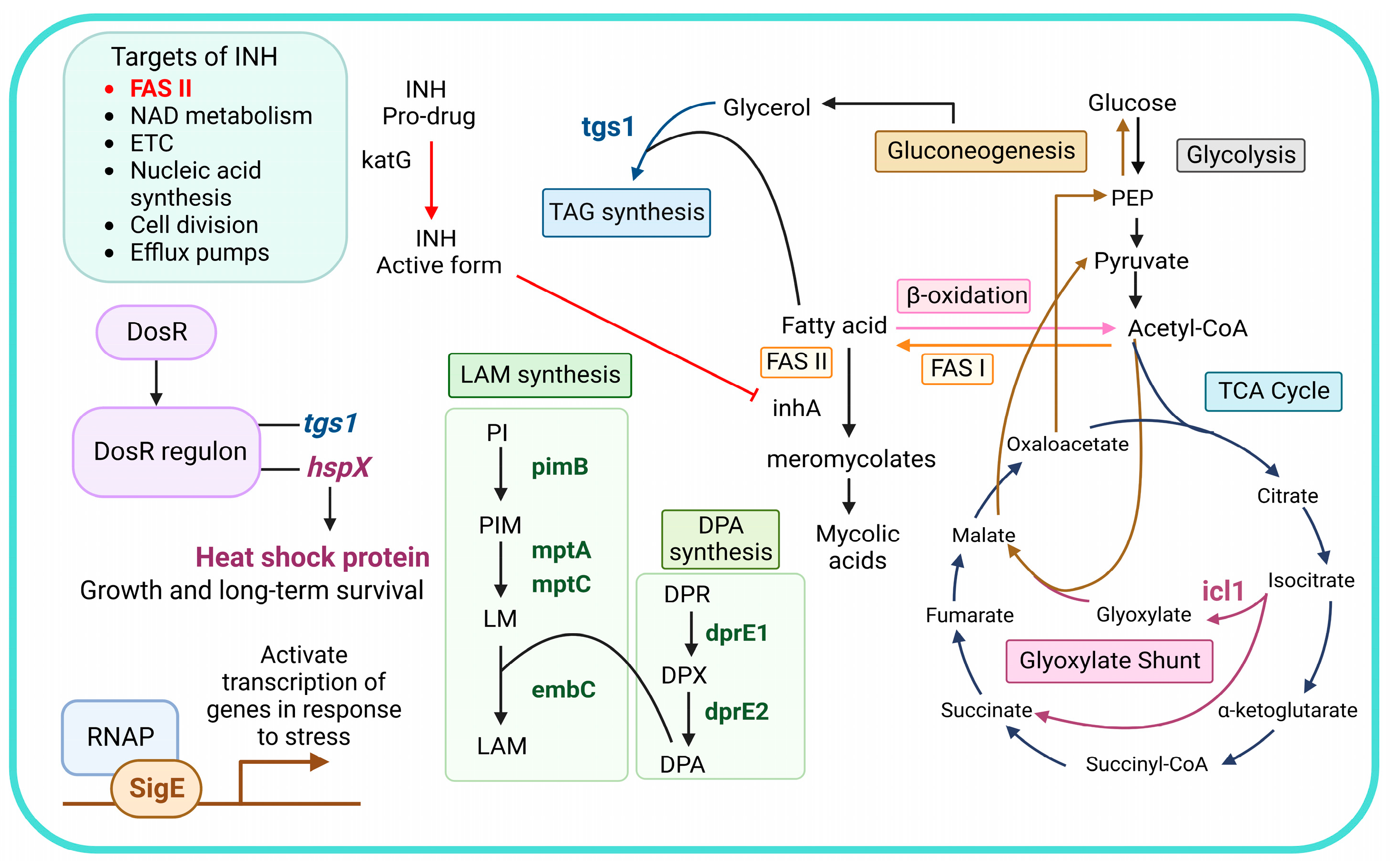 Antibiotics 12 00852 g001 Antibiotics 12 00852 g001