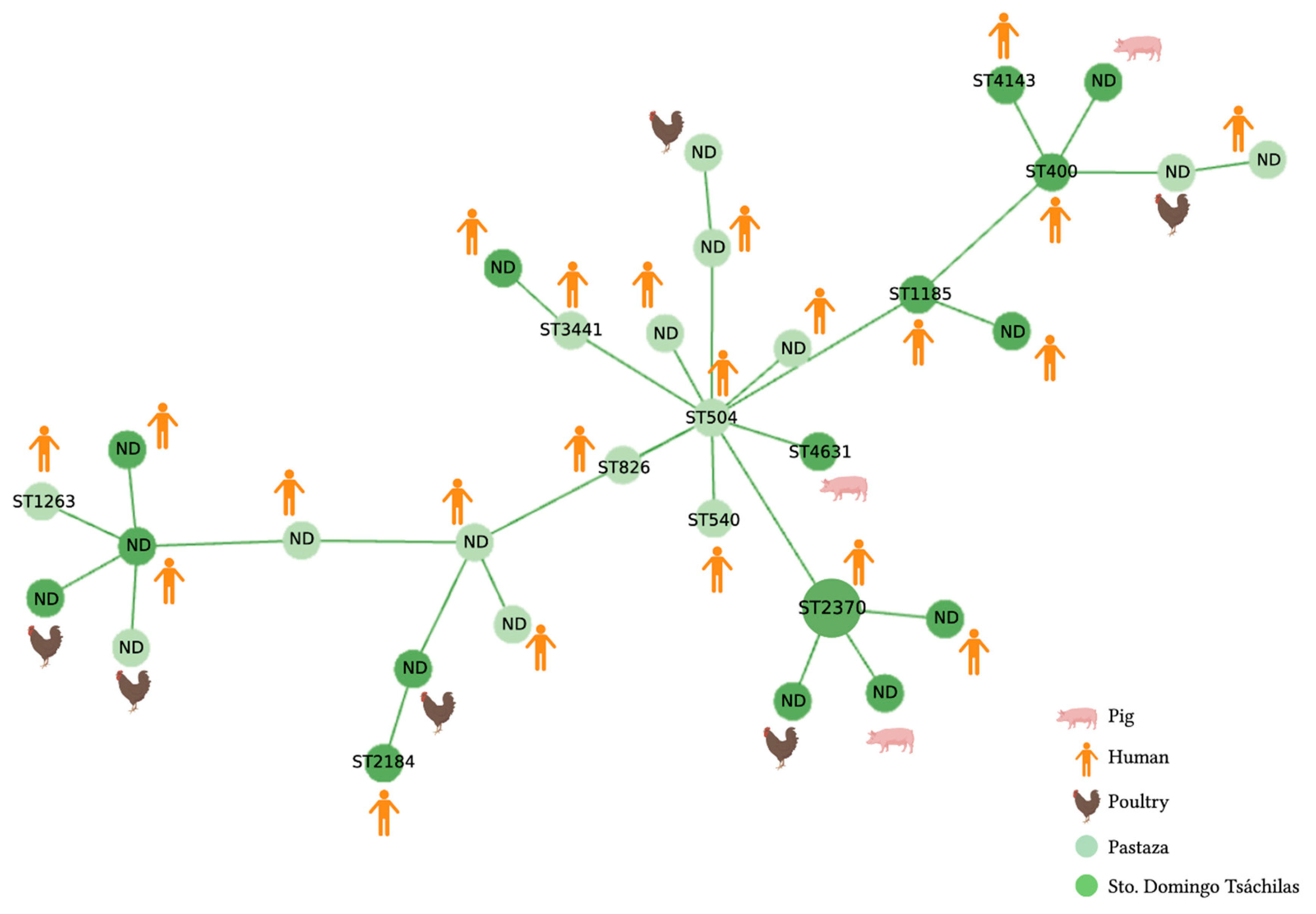 Antibiotics 12 00856 g004 Antibiotics 12 00856 g004