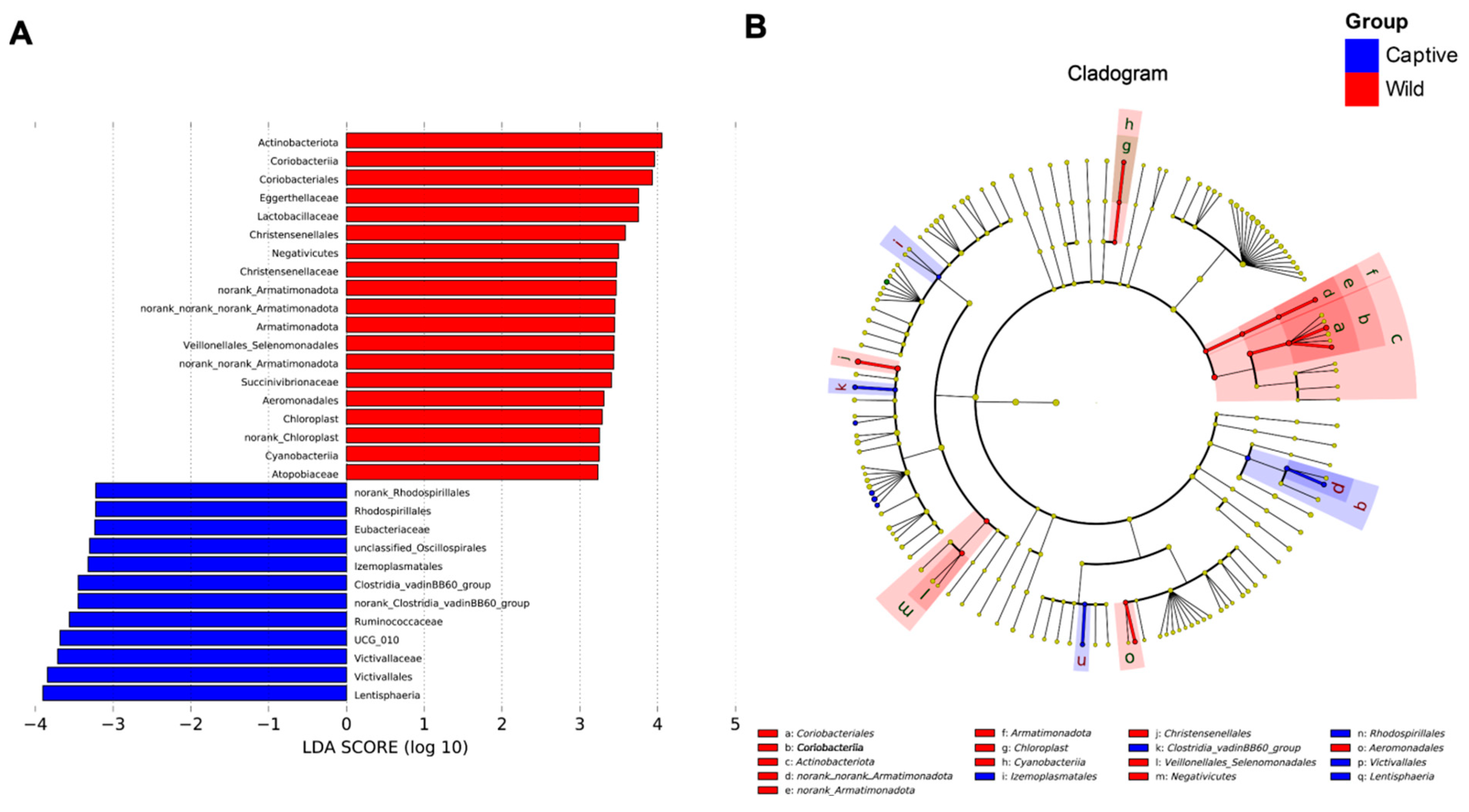 Antibiotics 12 00859 g002 Antibiotics 12 00859 g002