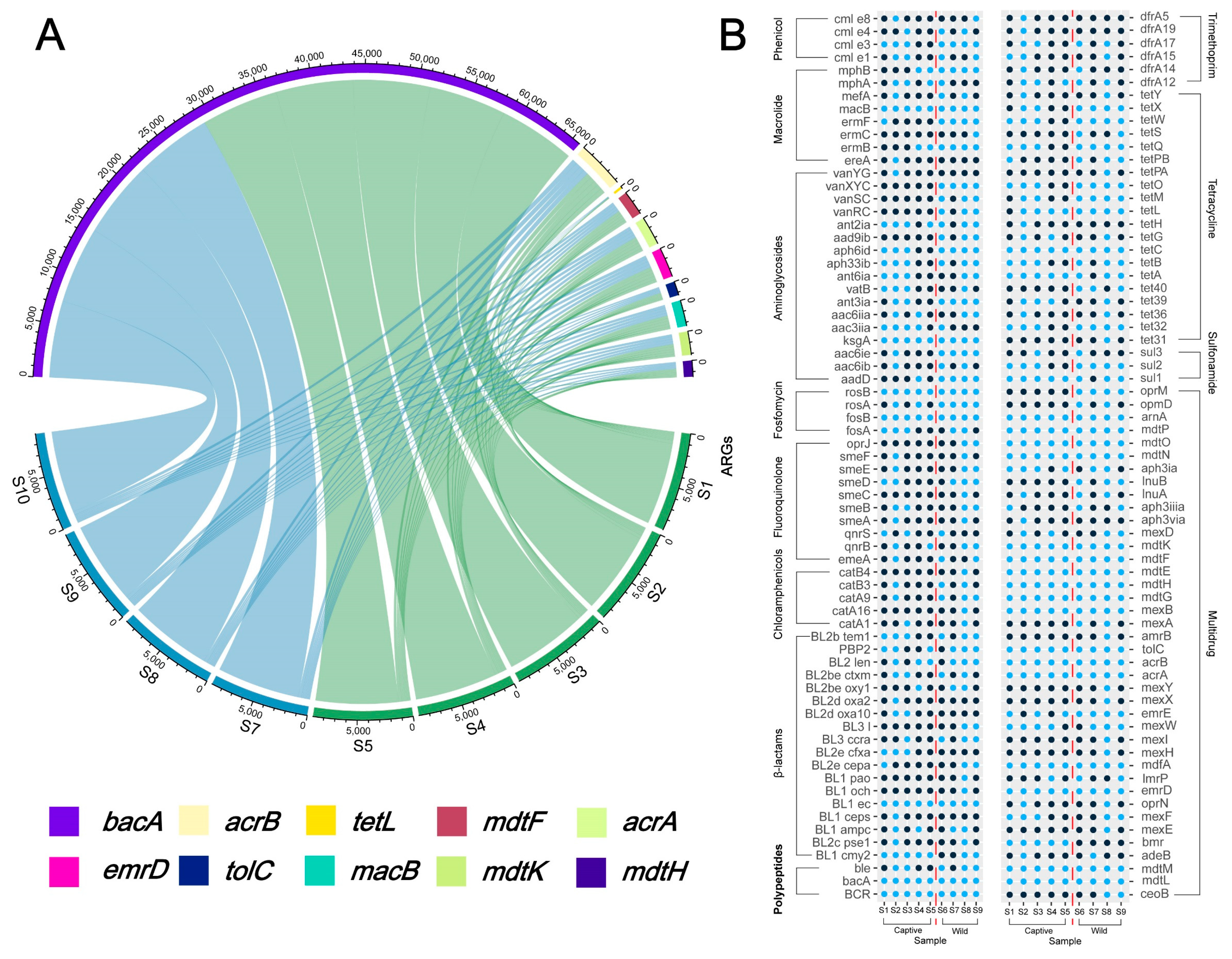 Antibiotics 12 00859 g004 Antibiotics 12 00859 g004