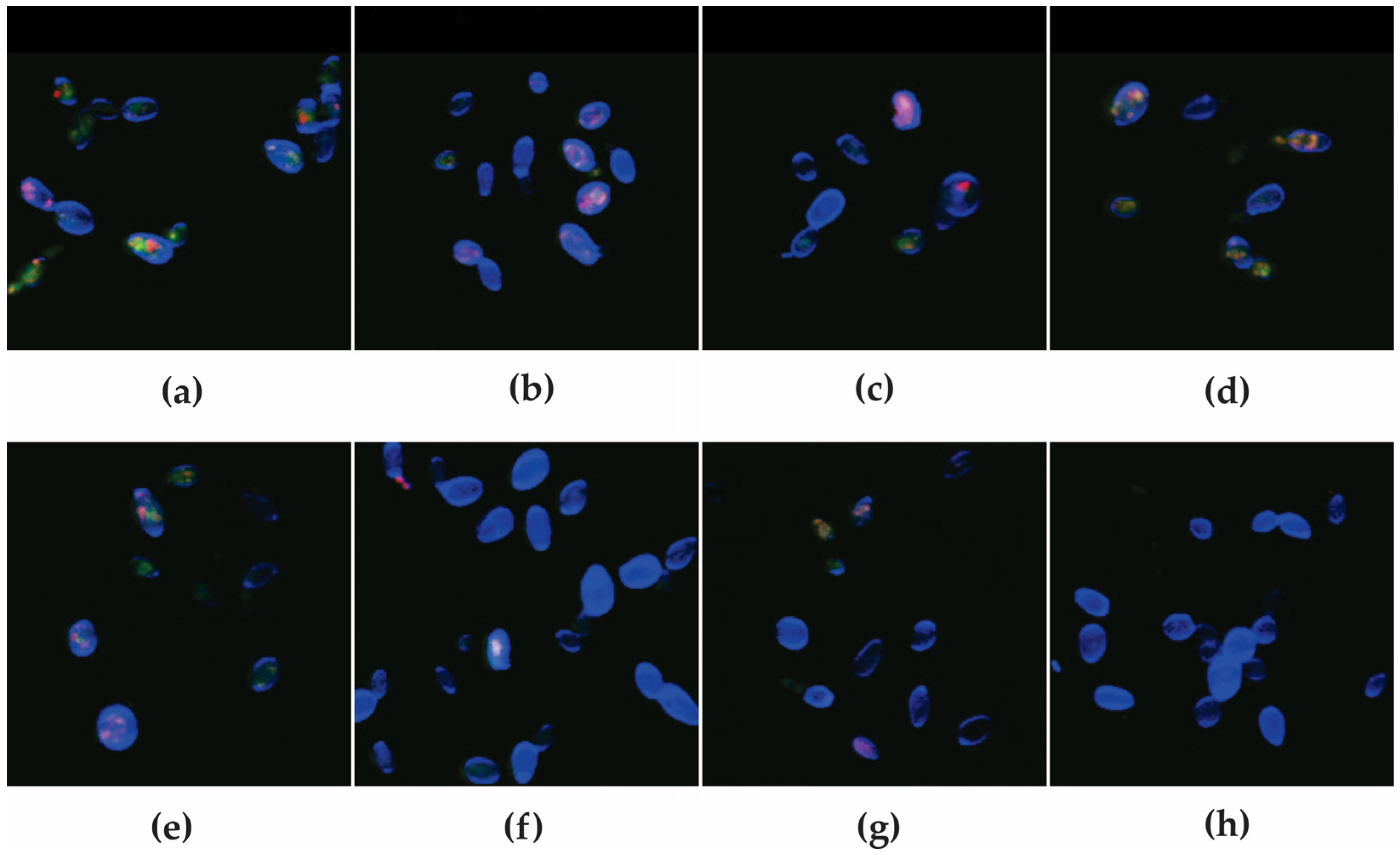 Antibiotics 12 00861 g003 Antibiotics 12 00861 g003