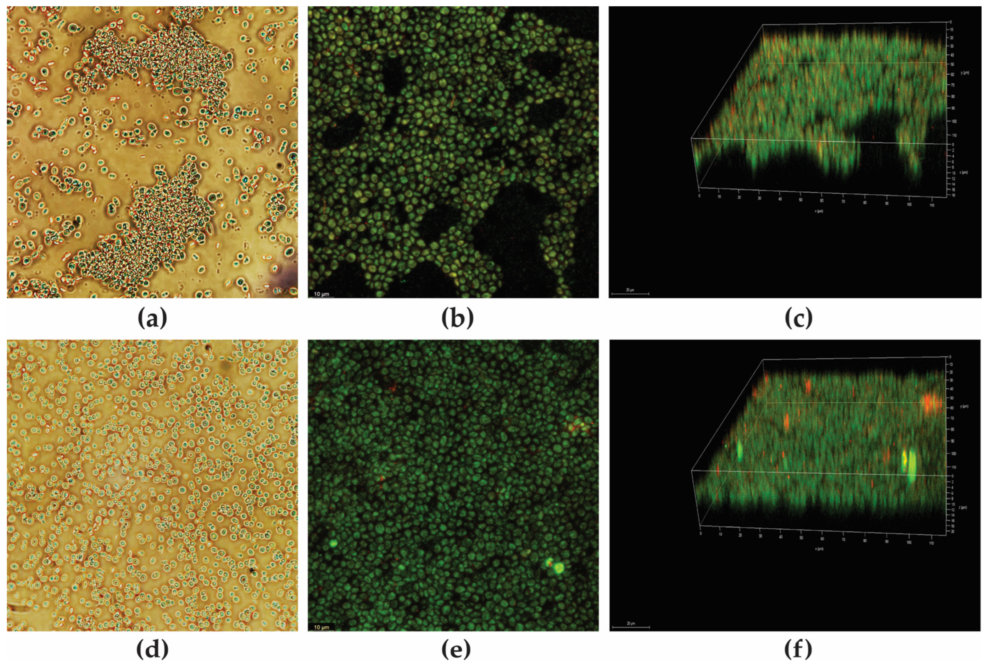 Antibiotics 12 00861 g005 Antibiotics 12 00861 g005