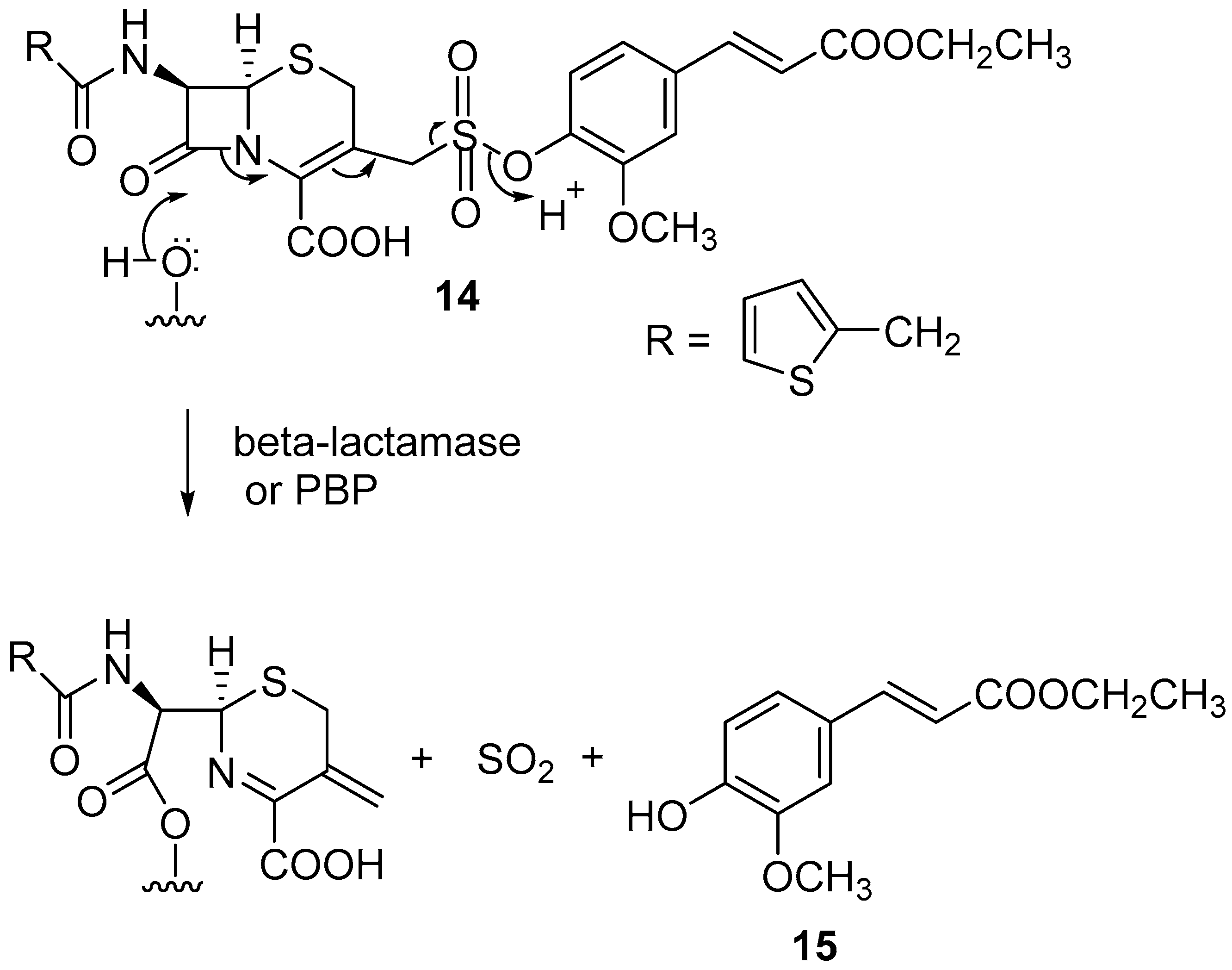 Antibiotics 12 00865 sch002 Antibiotics 12 00865 sch002