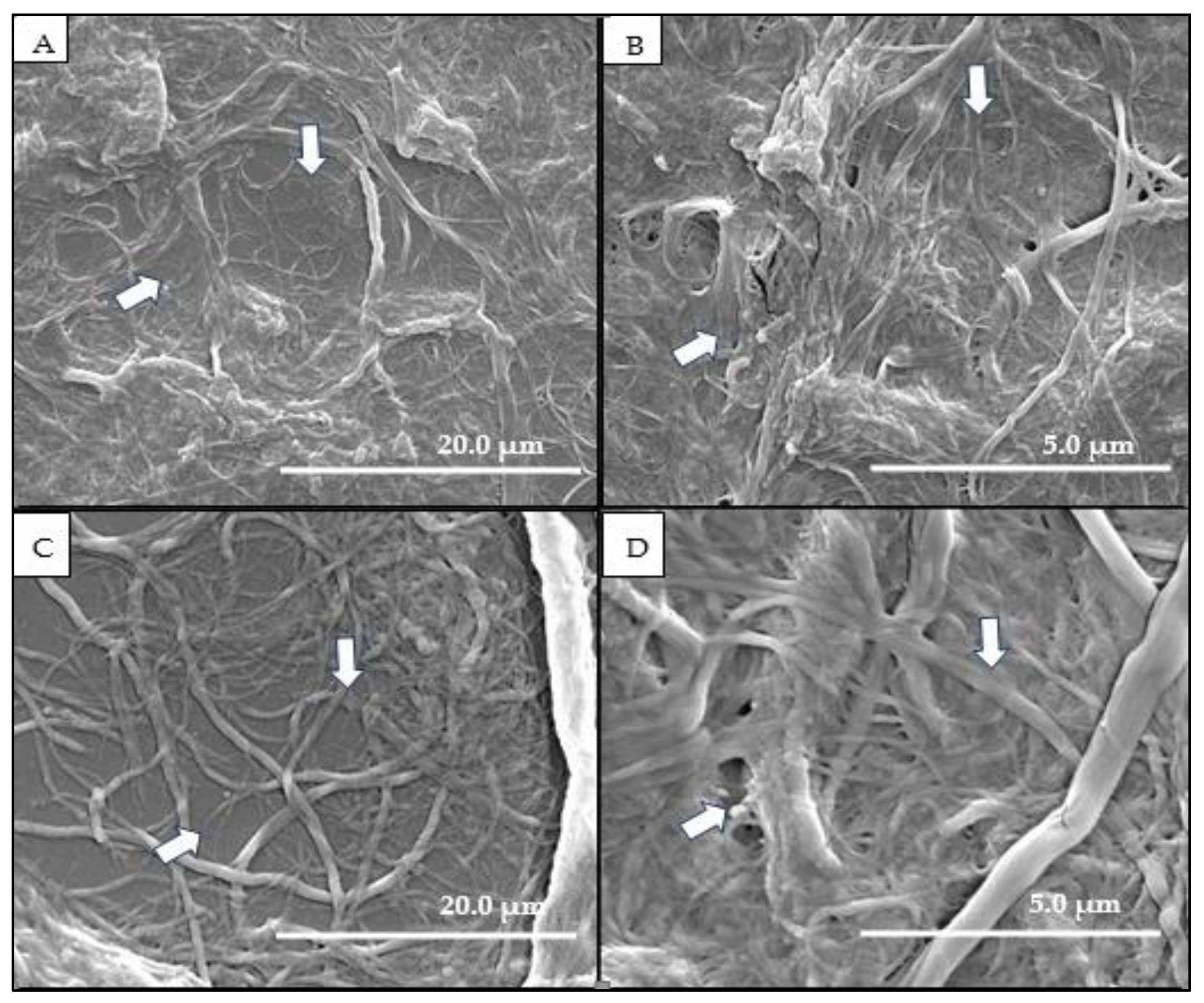 Antibiotics 12 00873 g002 Antibiotics 12 00873 g002
