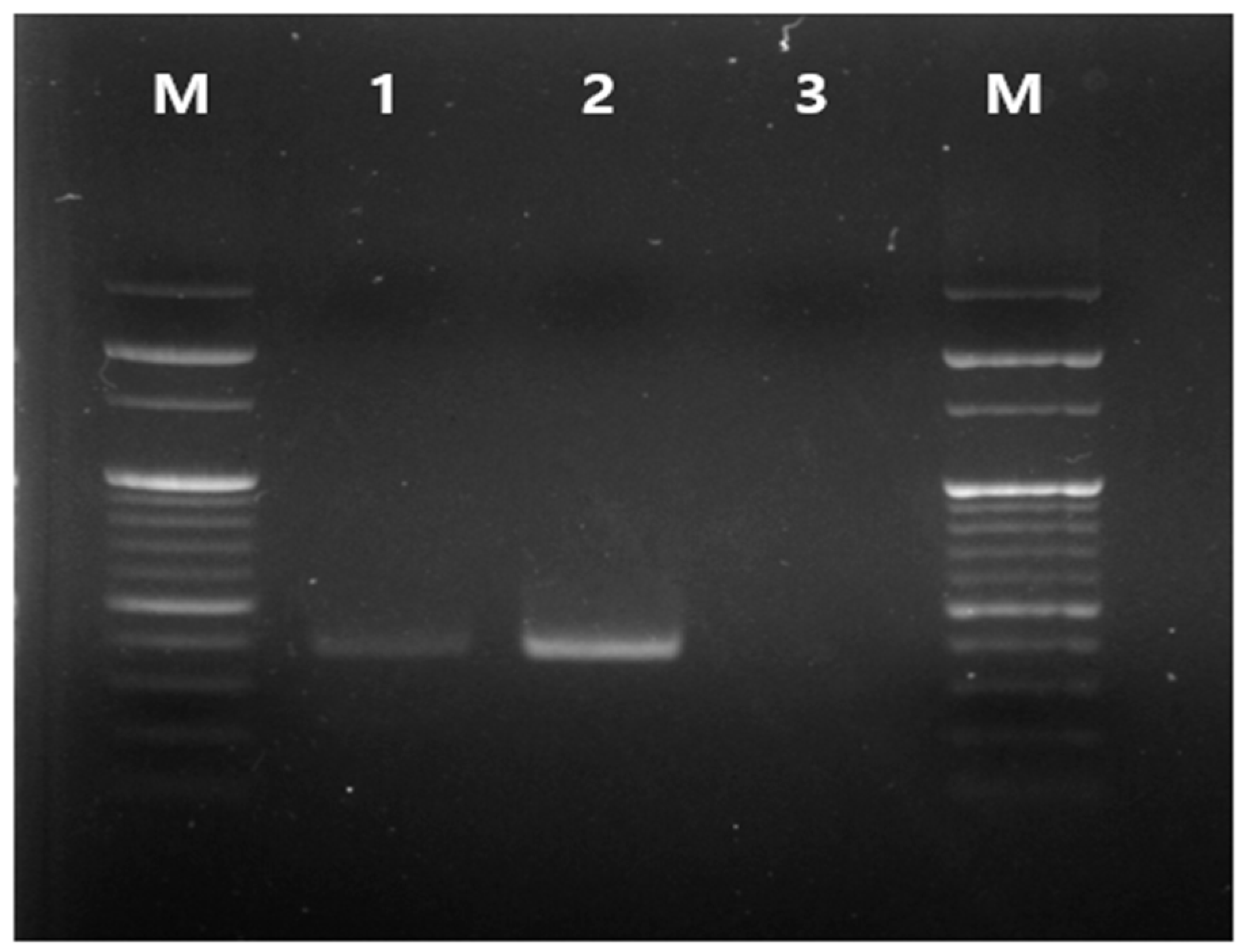 Antibiotics 12 00876 g001 Antibiotics 12 00876 g001