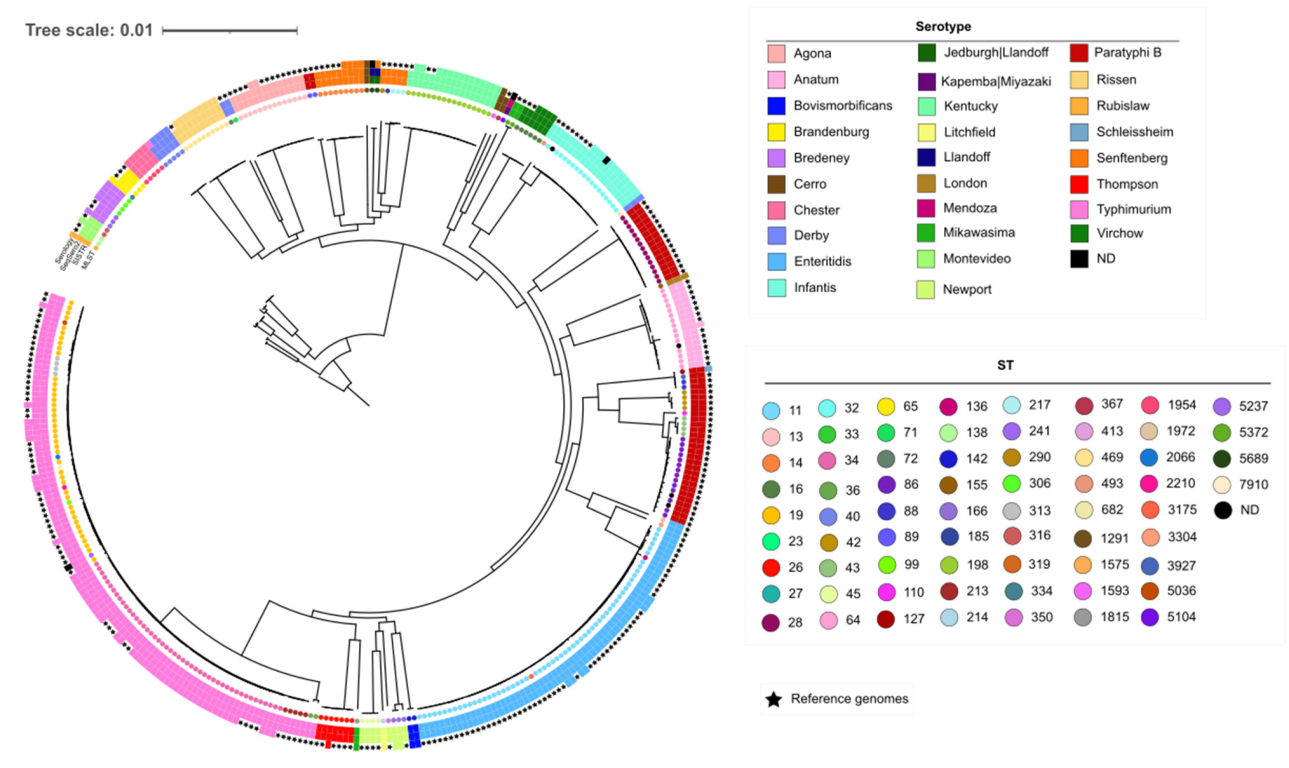 Antibiotics 12 00883 g001 Antibiotics 12 00883 g001