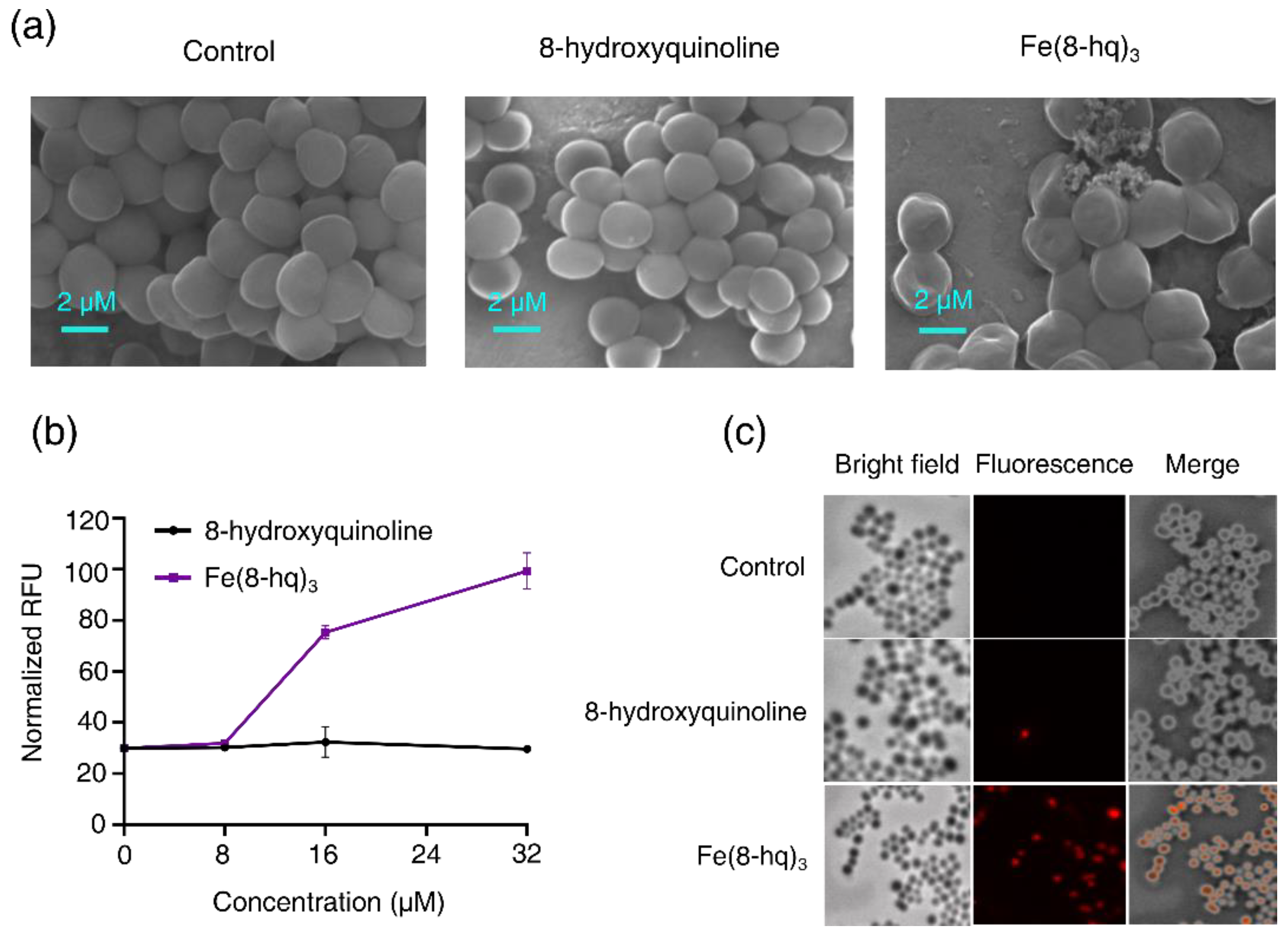 Antibiotics 12 00886 g005 Antibiotics 12 00886 g005