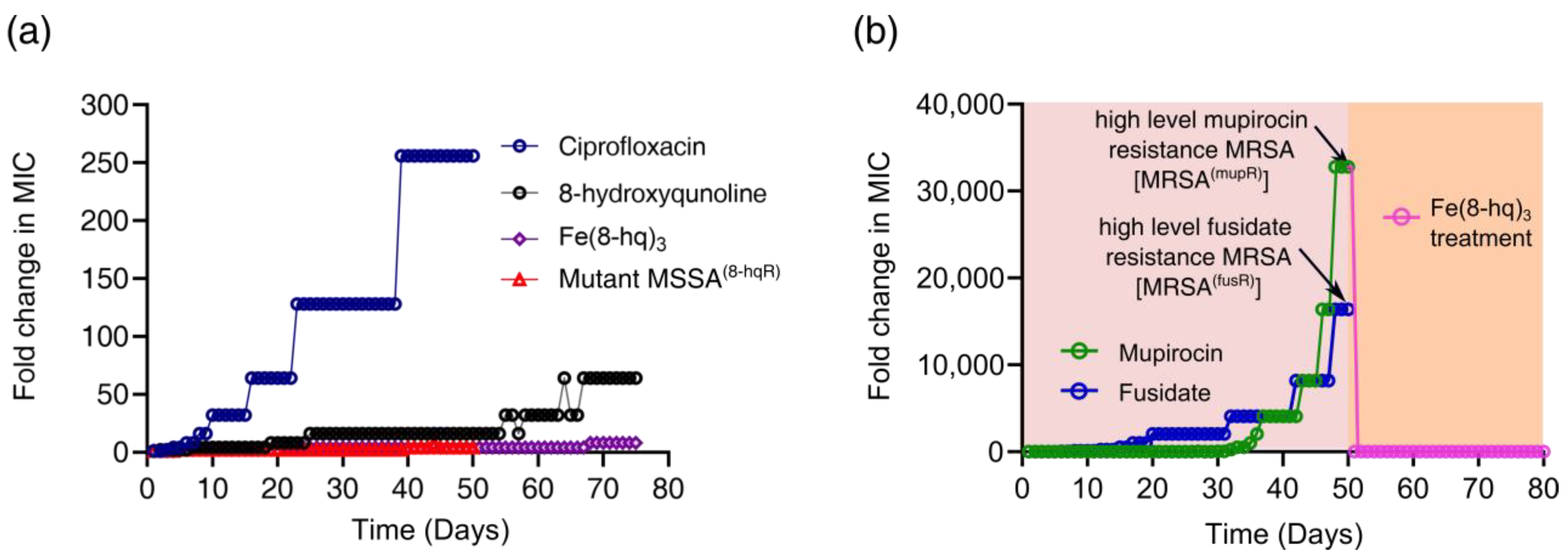 Antibiotics 12 00886 g006 Antibiotics 12 00886 g006