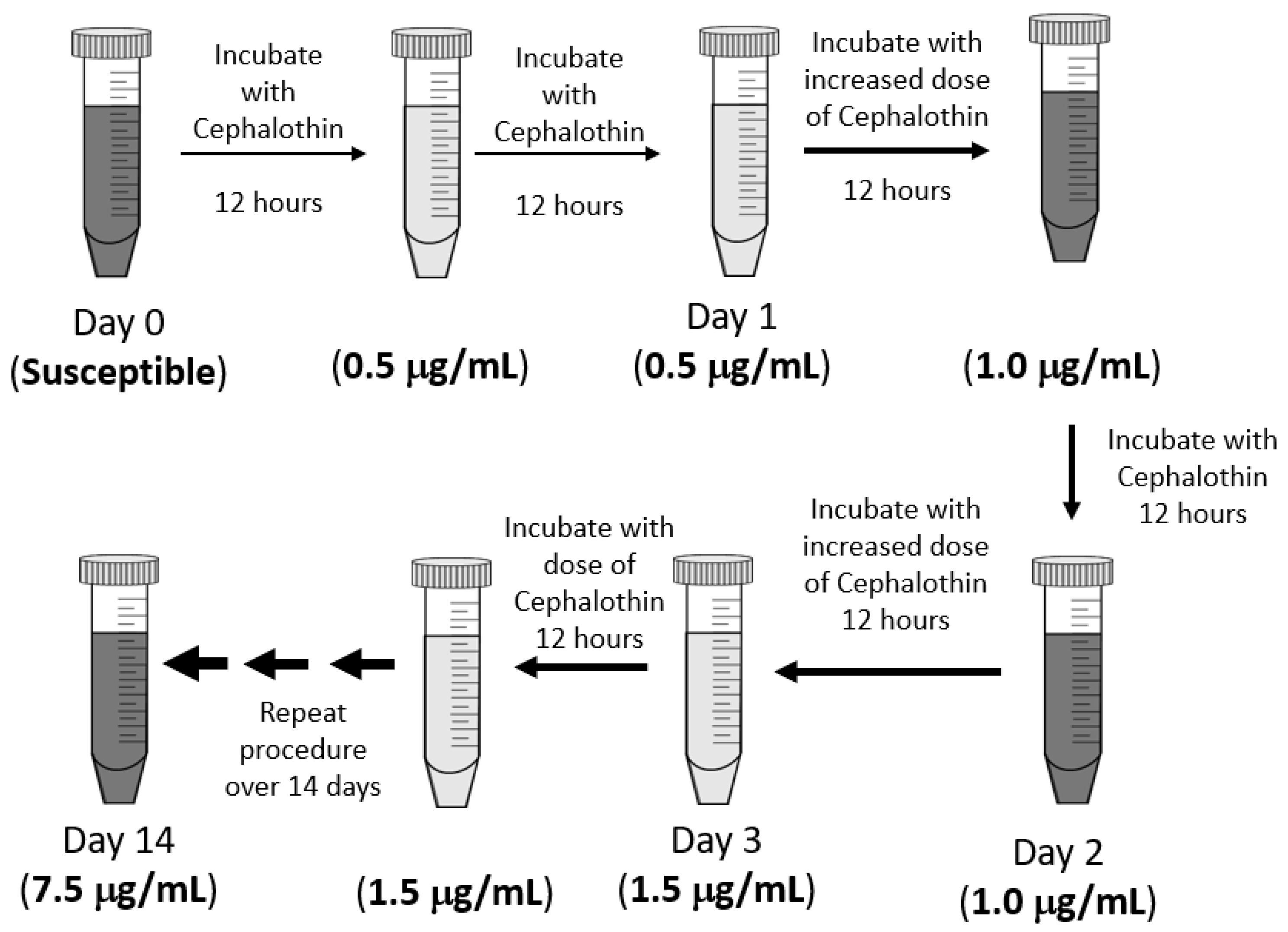 Antibiotics 12 00887 g001