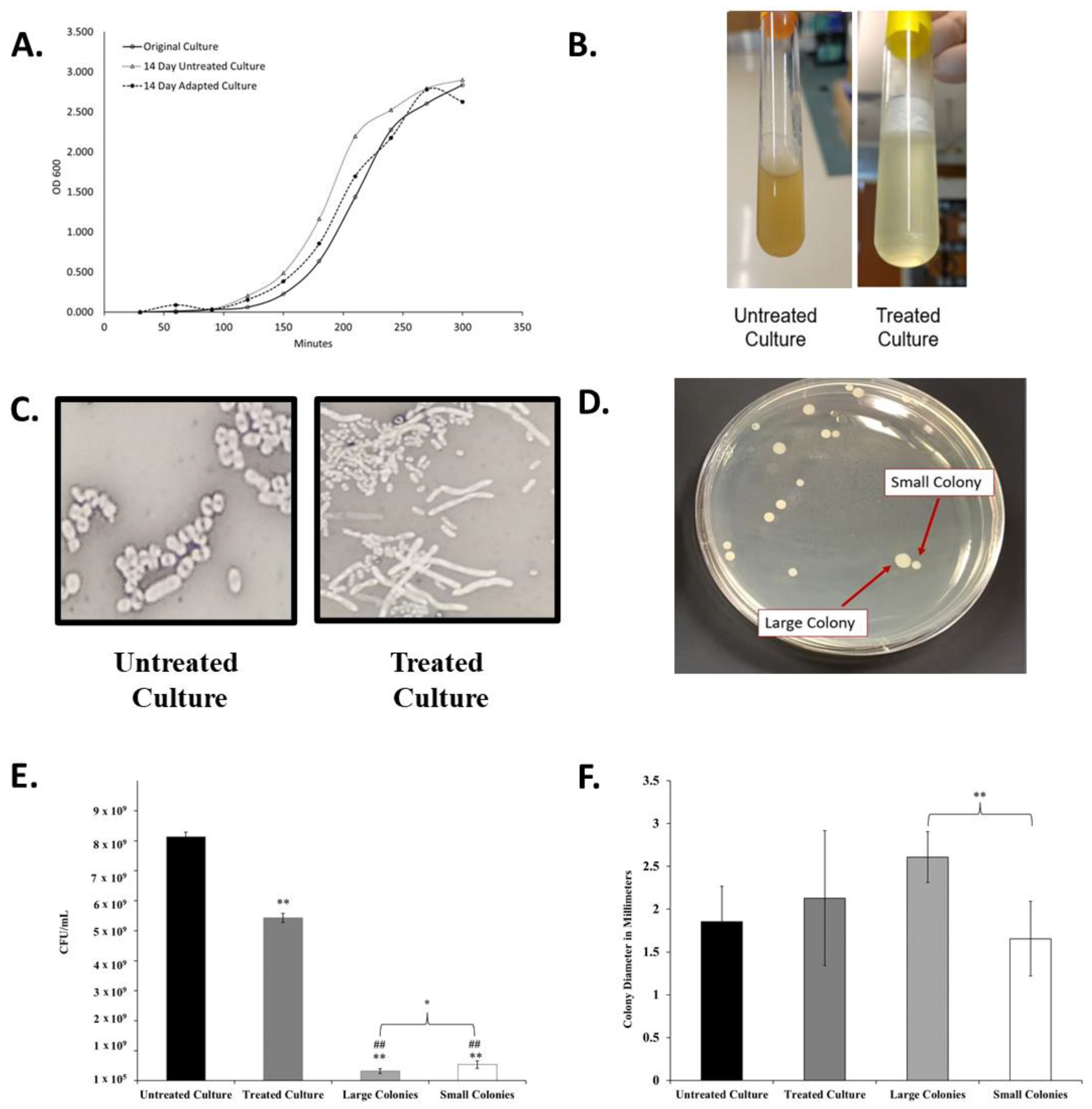Antibiotics 12 00887 g002