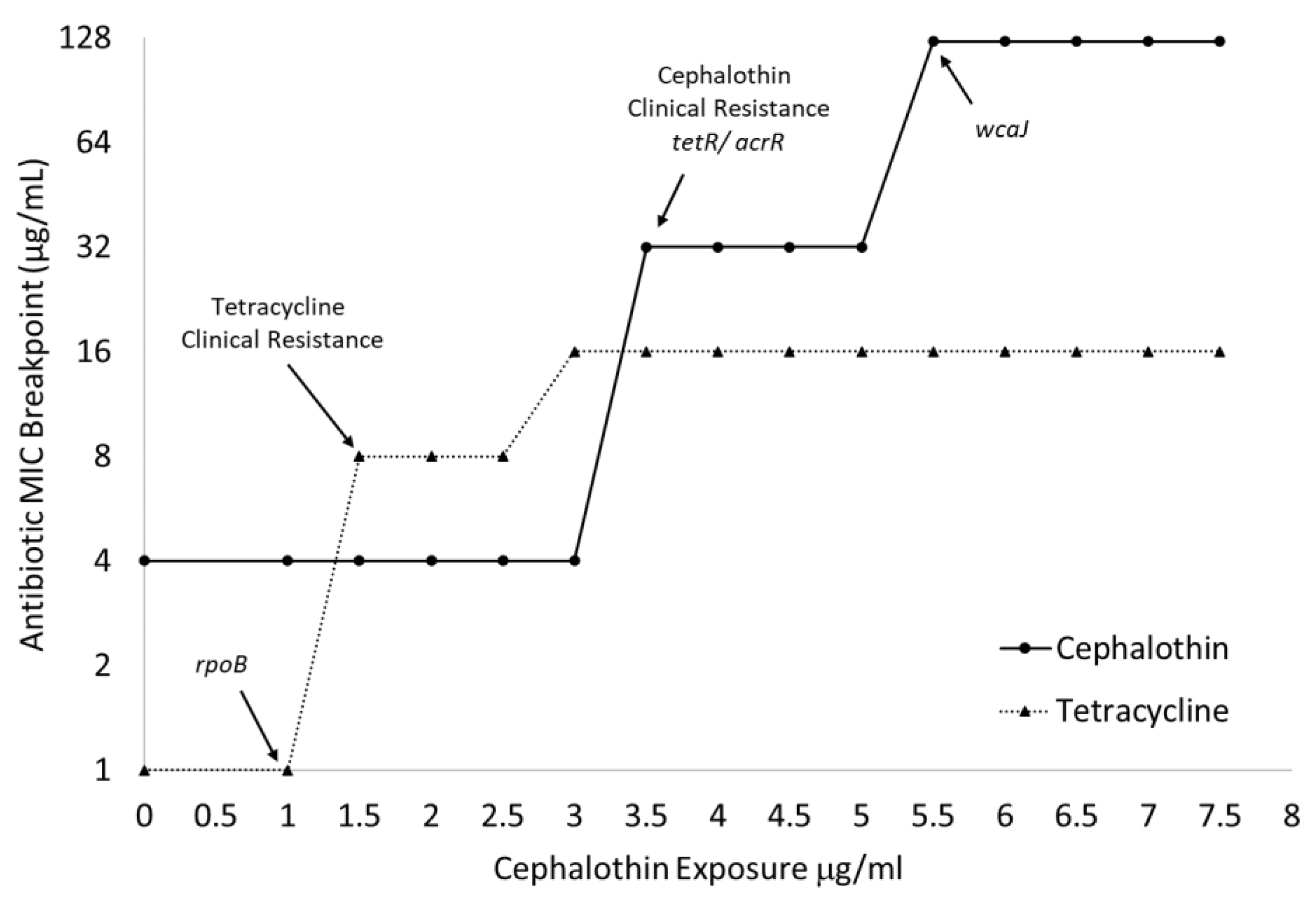 Antibiotics 12 00887 g003
